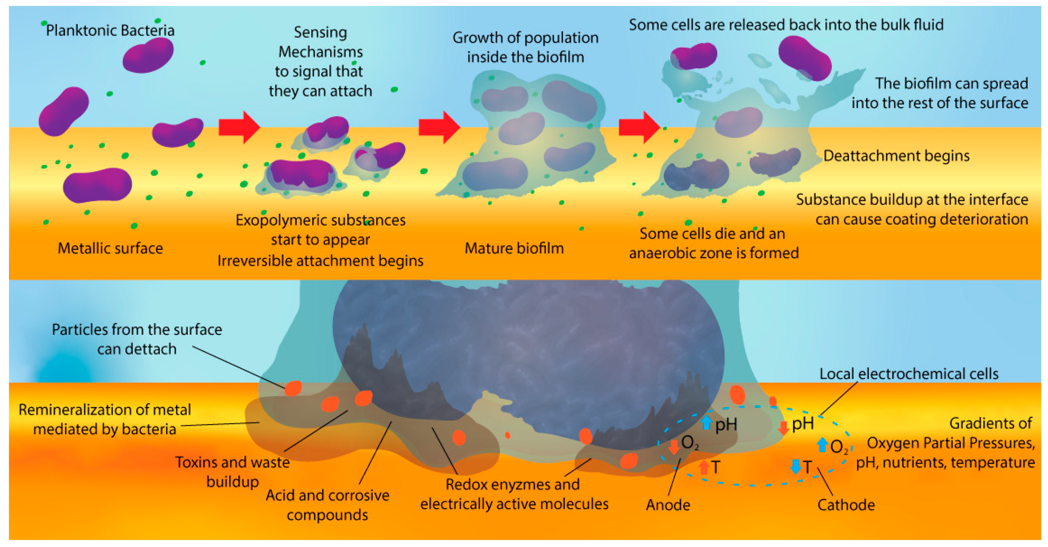 Metals 11 00147 g001