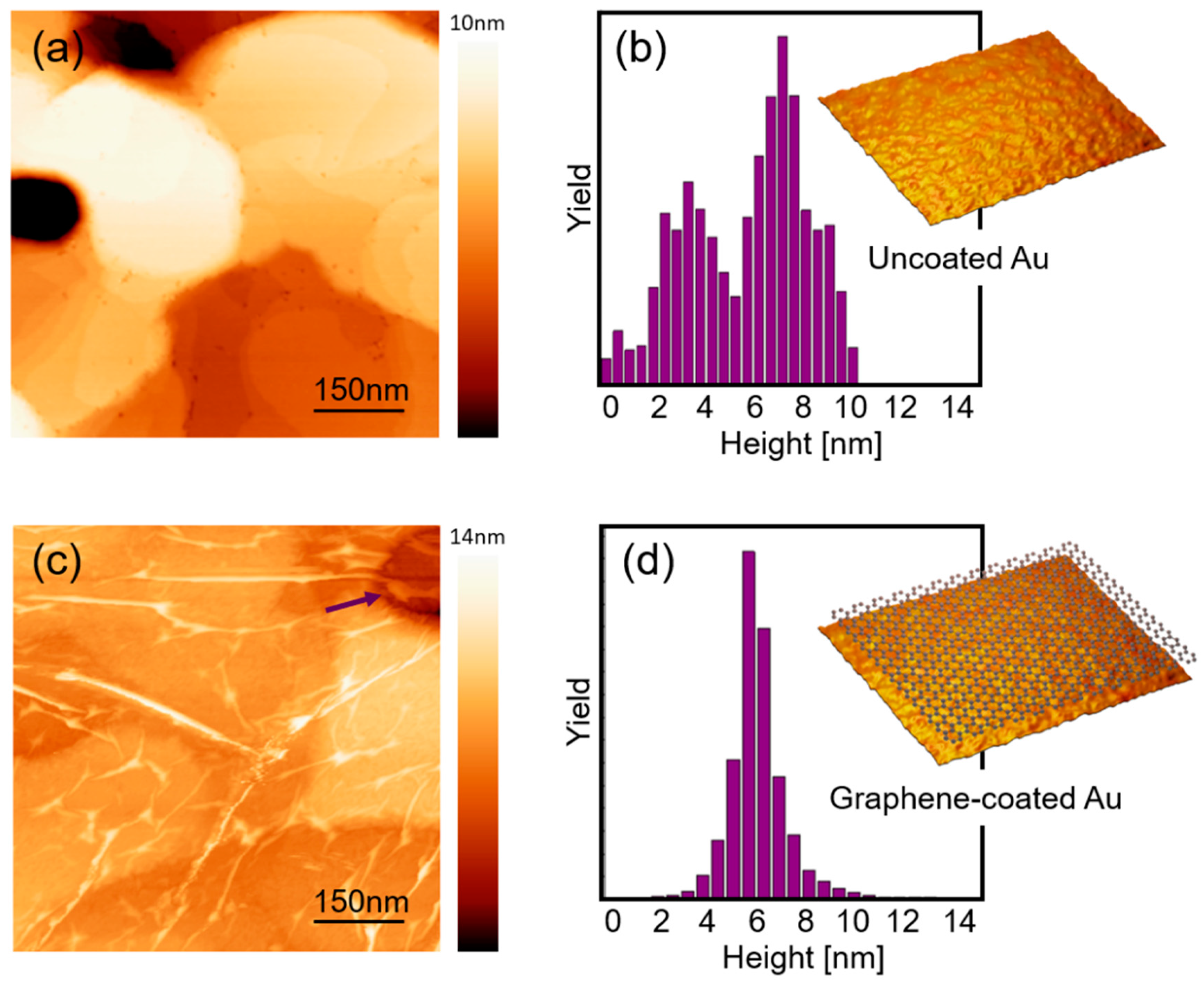 Metals 11 00147 g003