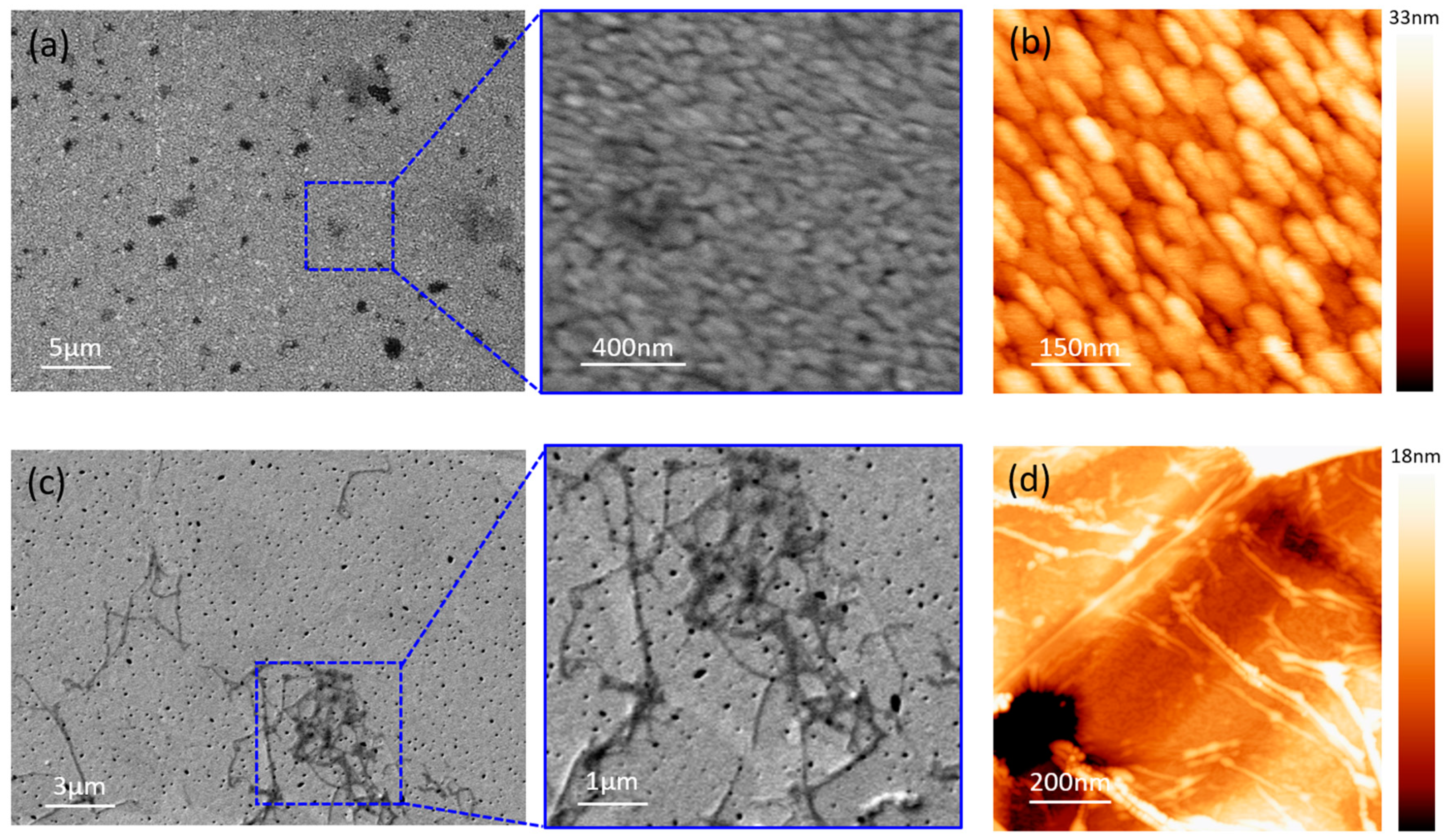 Metals 11 00147 g005