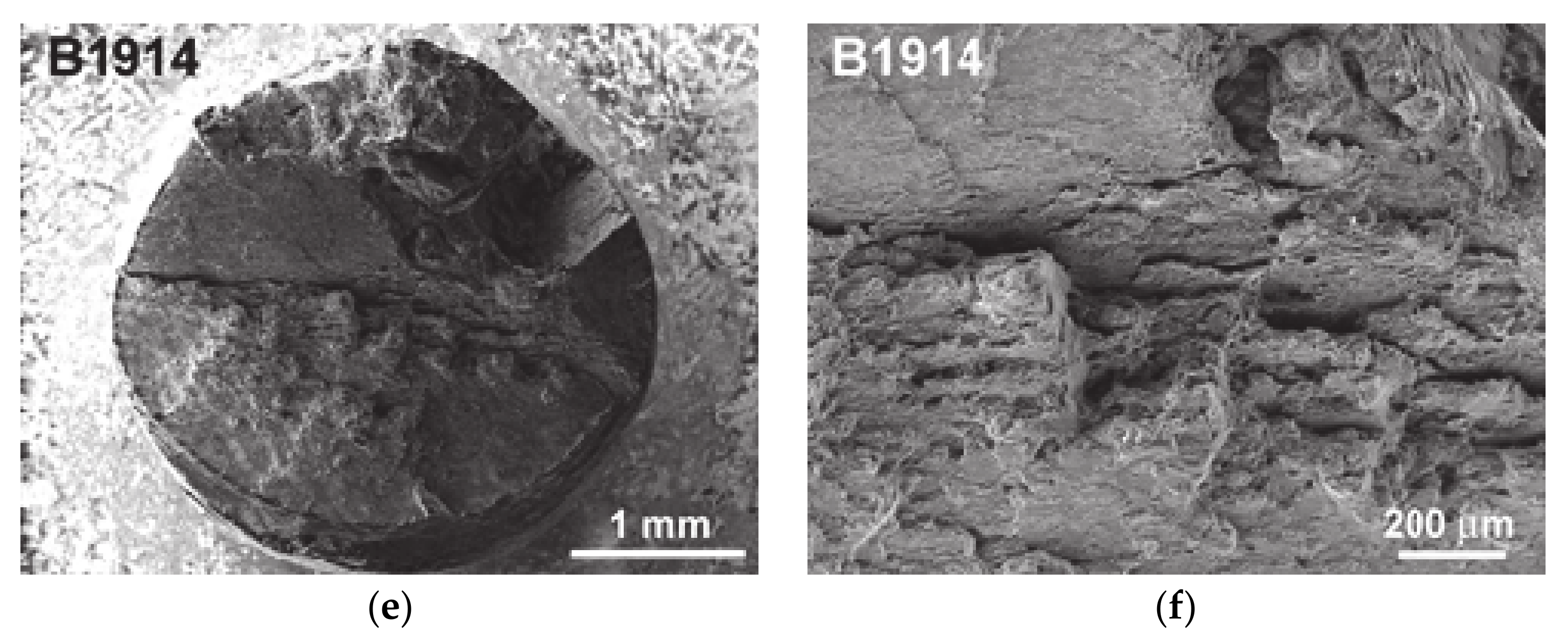 Metals 11 00152 g009b