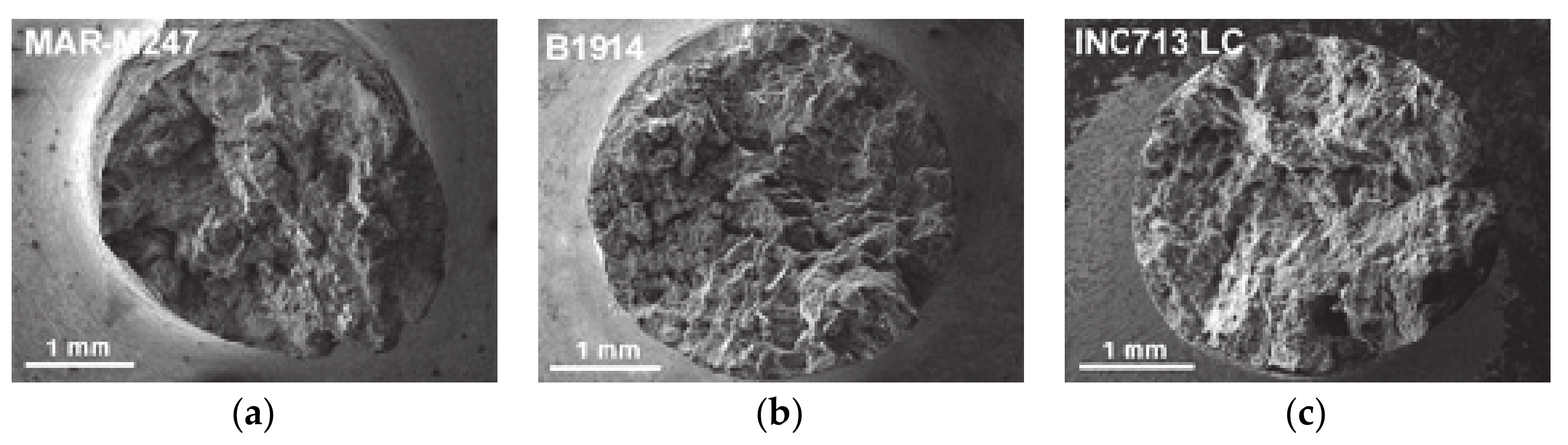 Metals 11 00152 g011