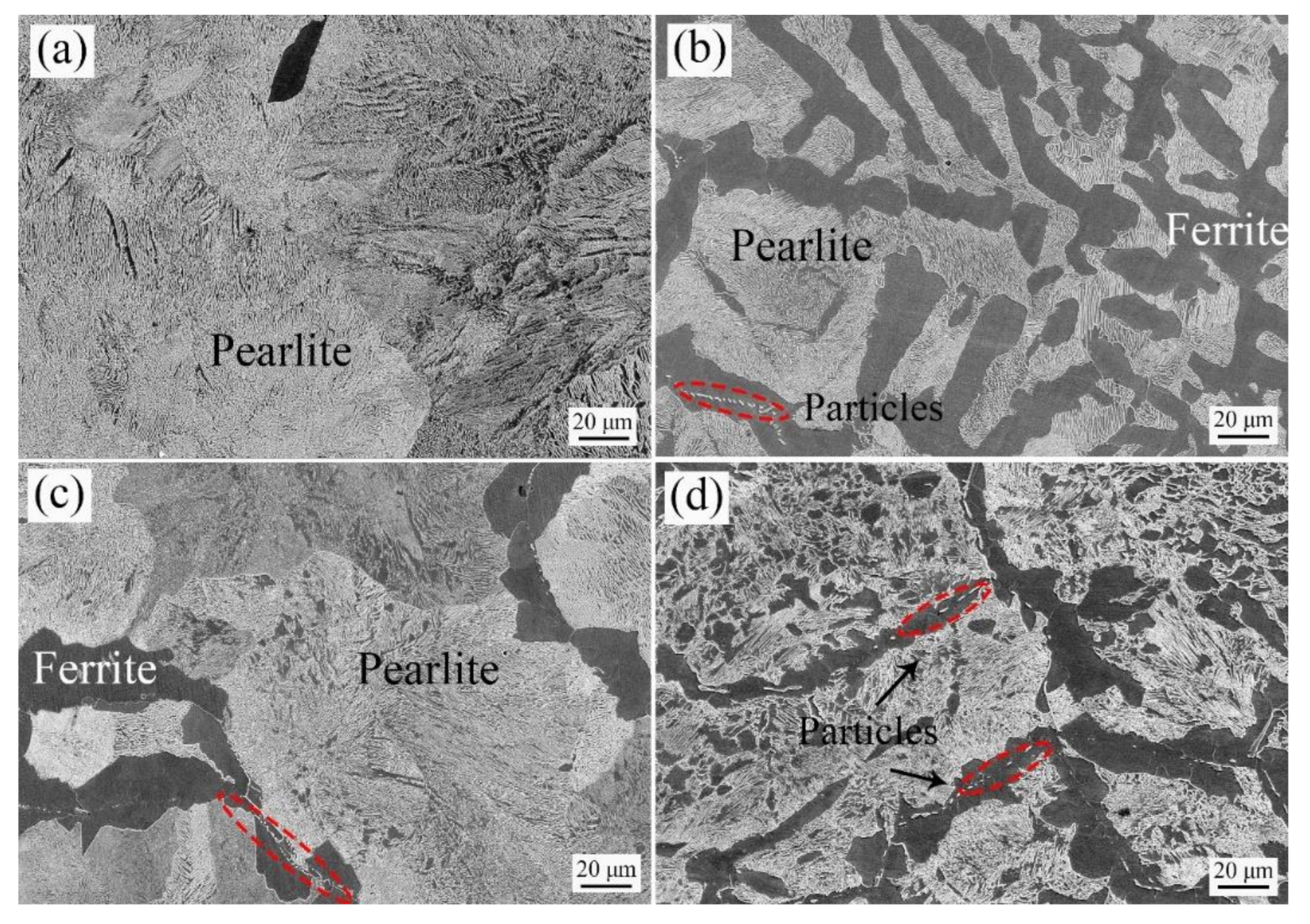 Metals 11 00184 g002