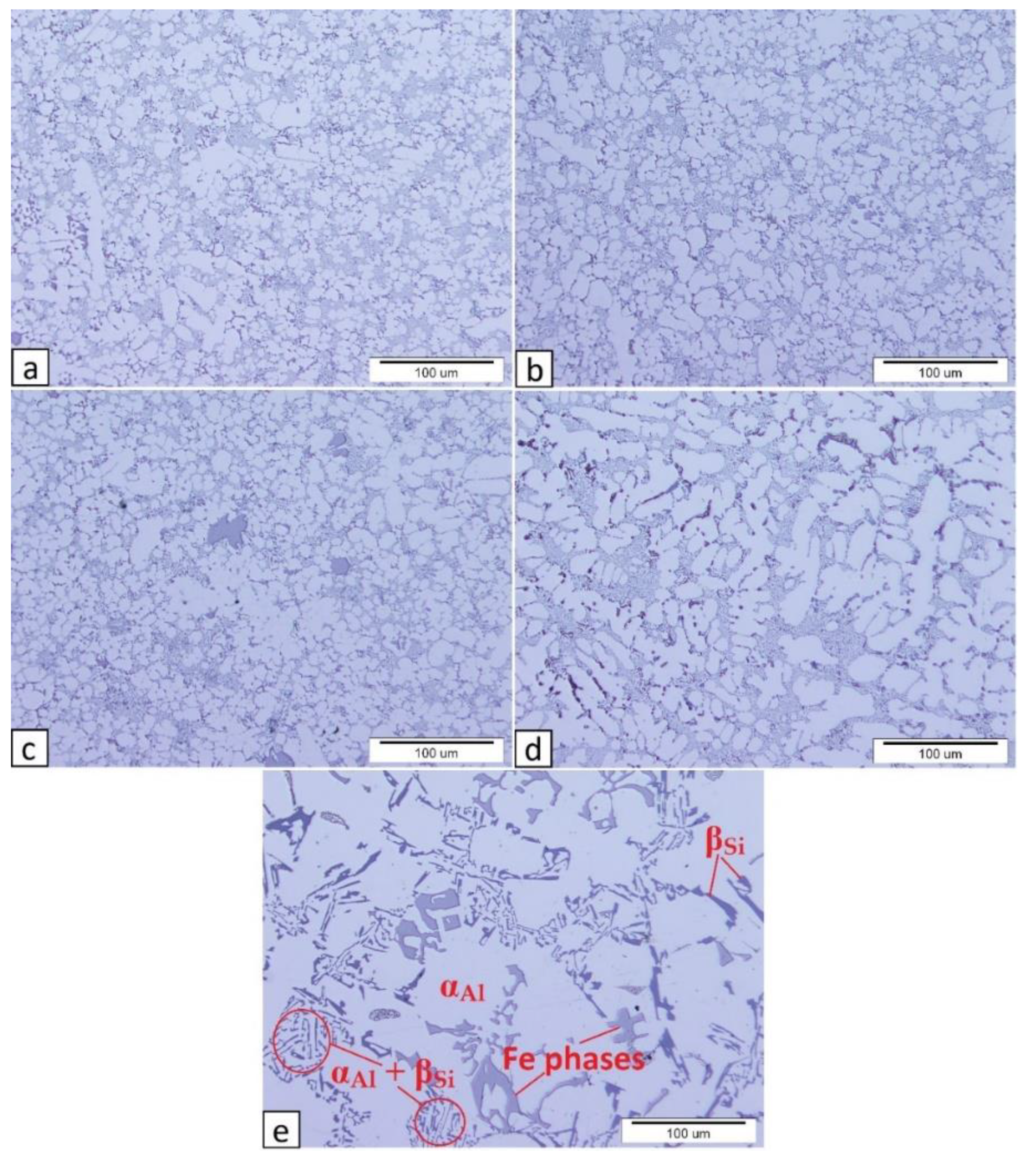 Metals 11 00186 g005