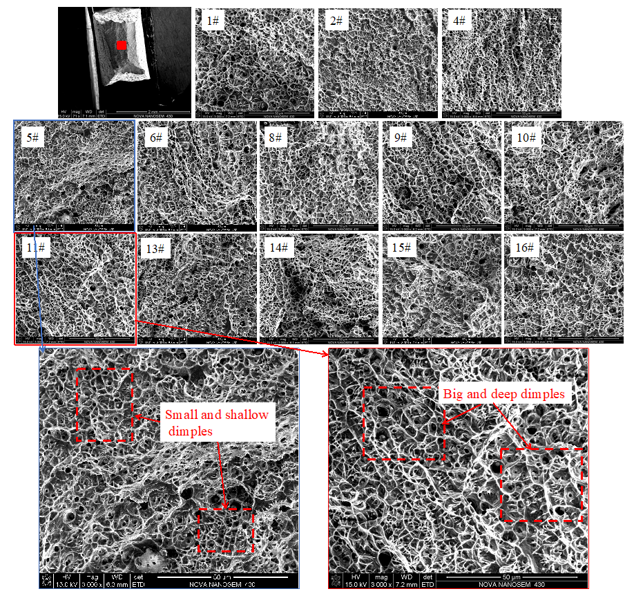Metals 11 00190 g007