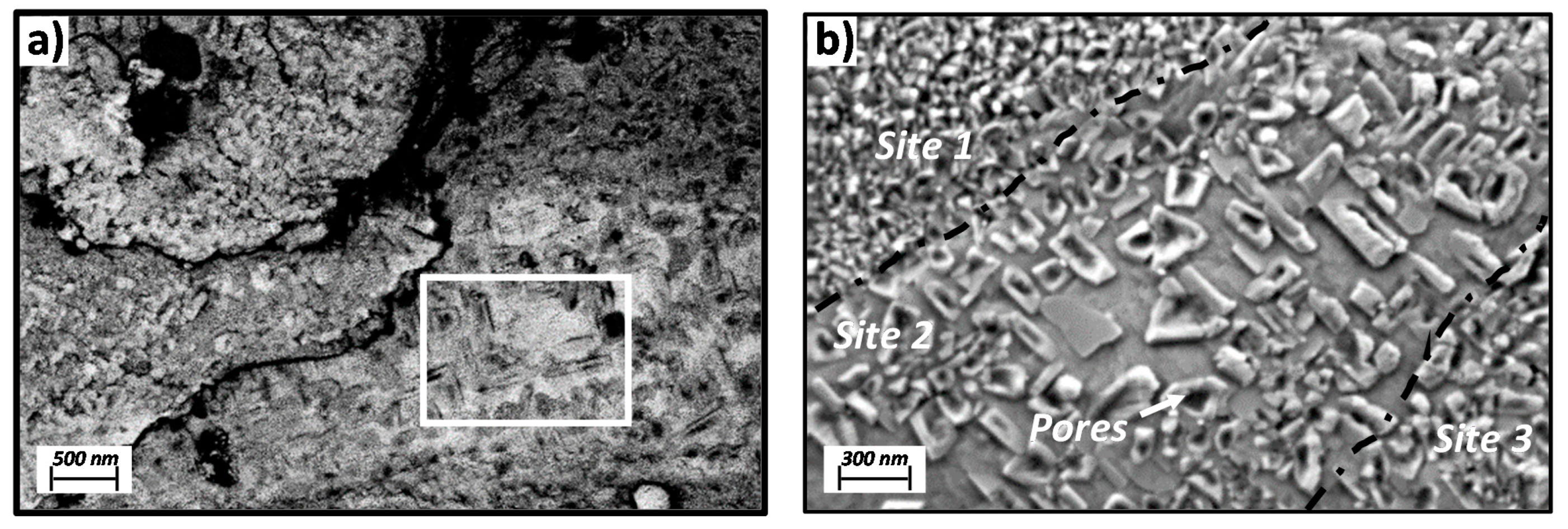 Metals 11 00191 g008