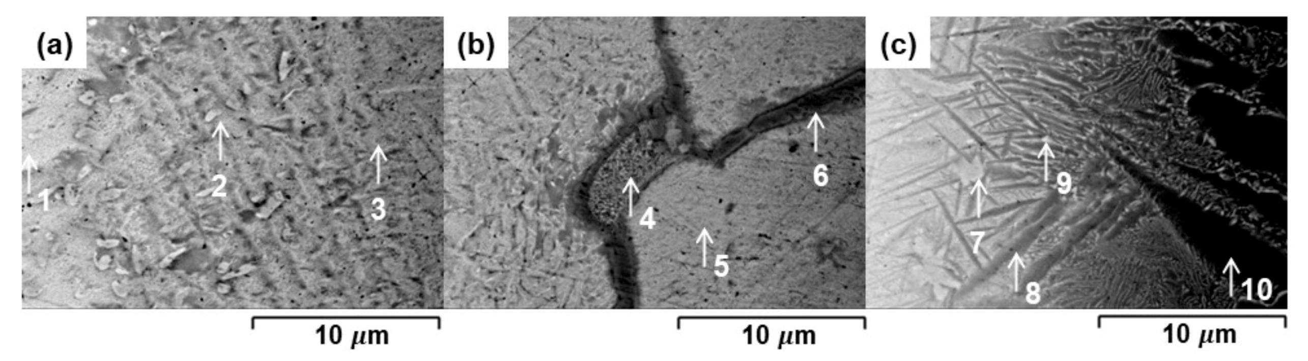 Metals 11 00192 g003