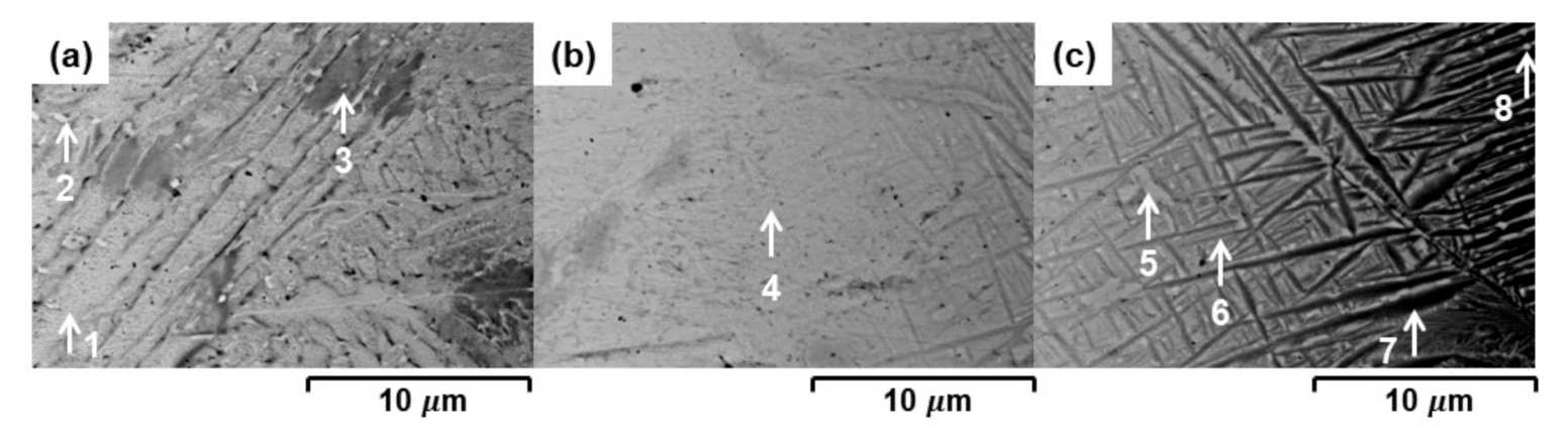 Metals 11 00192 g004