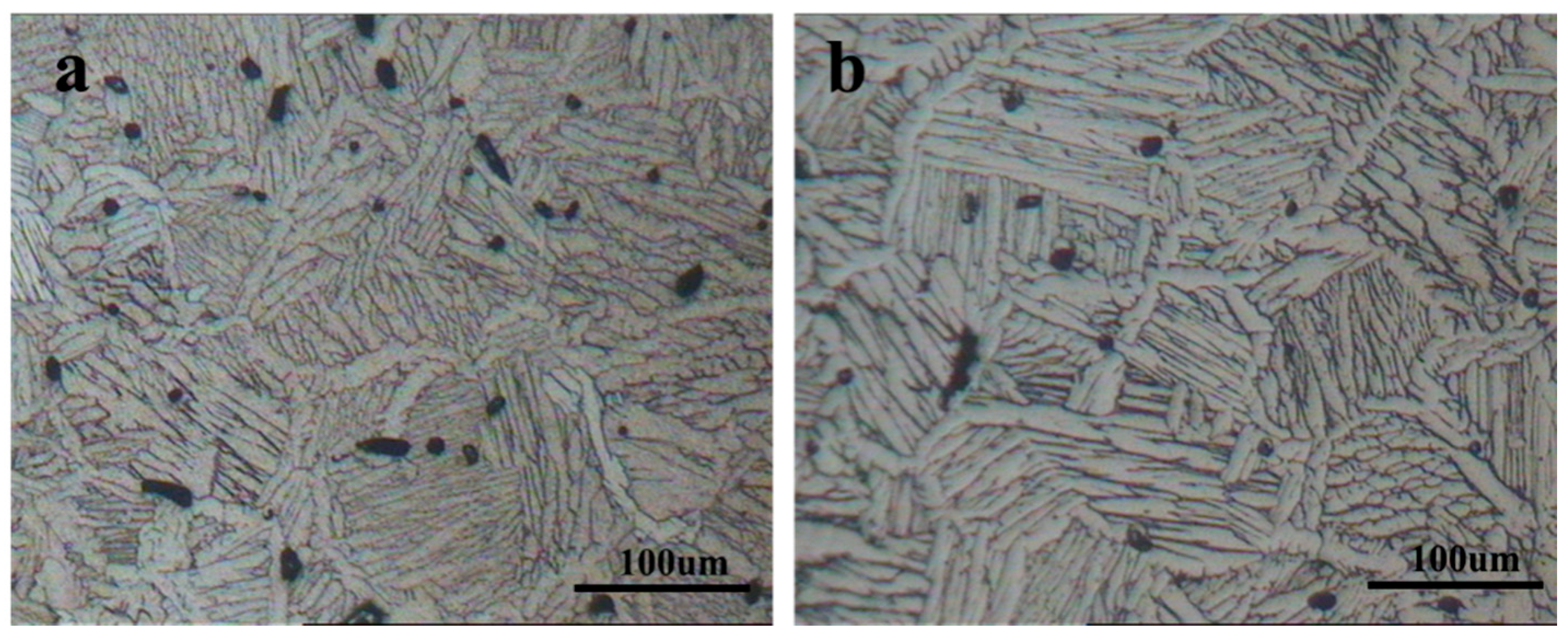 Metals 11 00197 g004 Metals 11 00197 g004