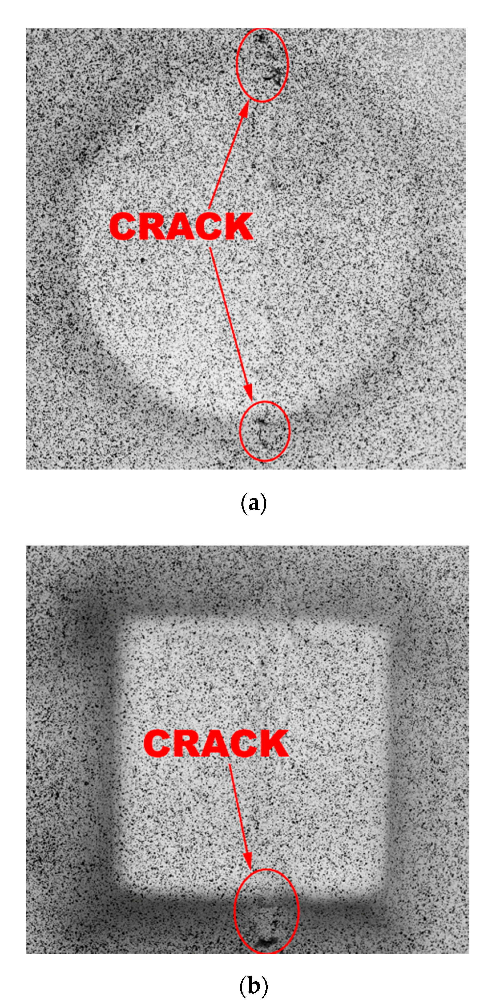 Metals 11 00198 g006