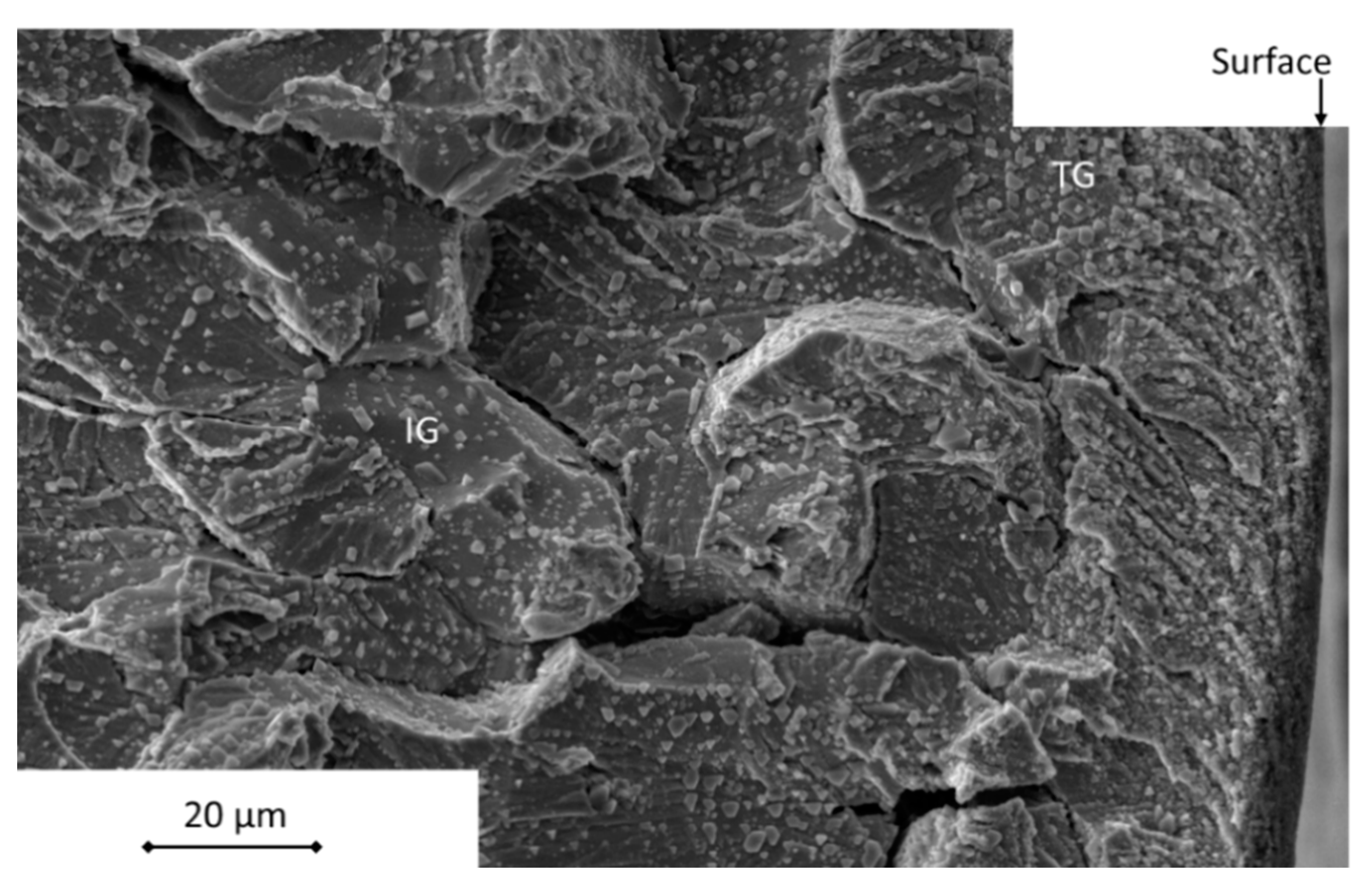 Metals 11 00199 g003