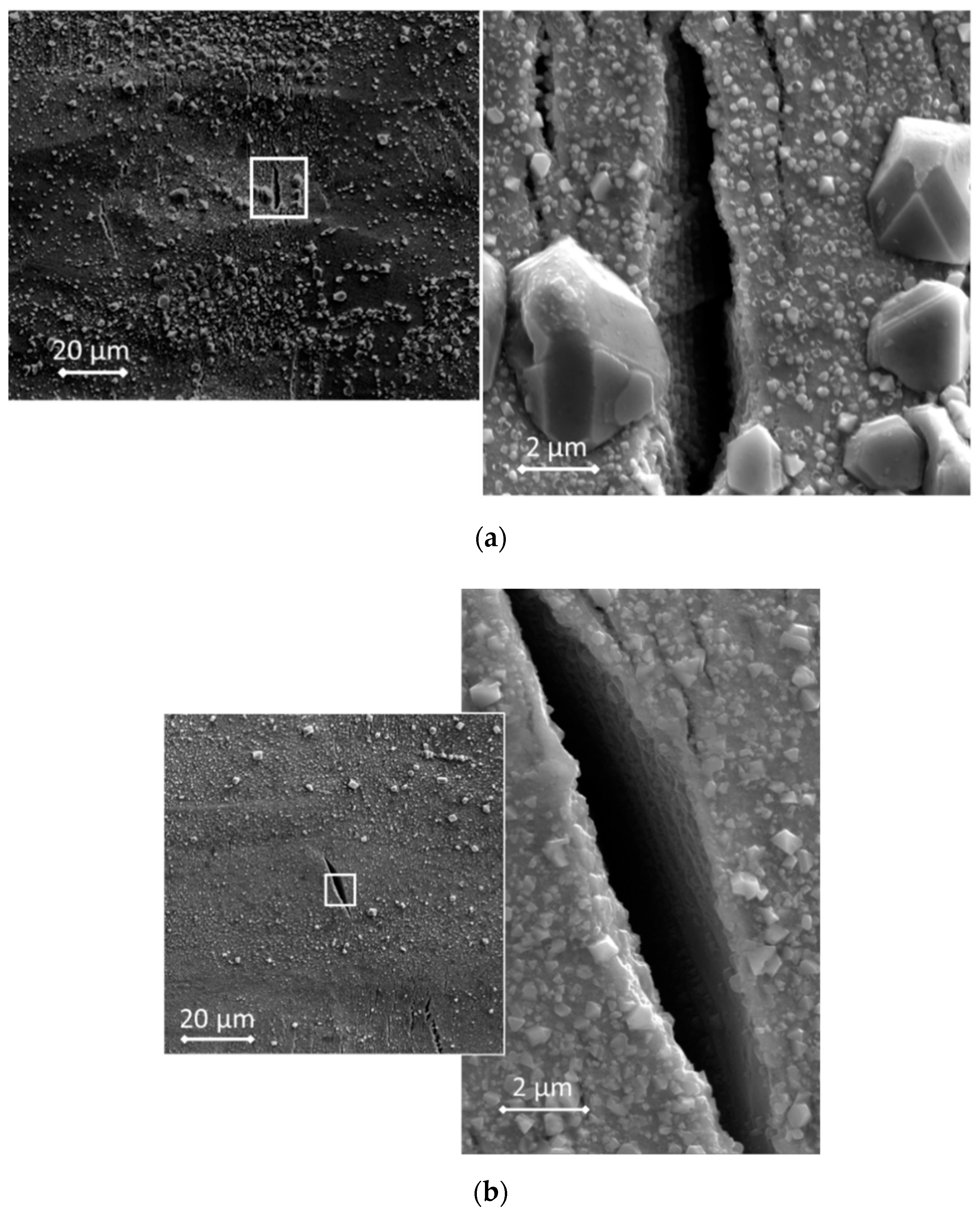 Metals 11 00199 g004