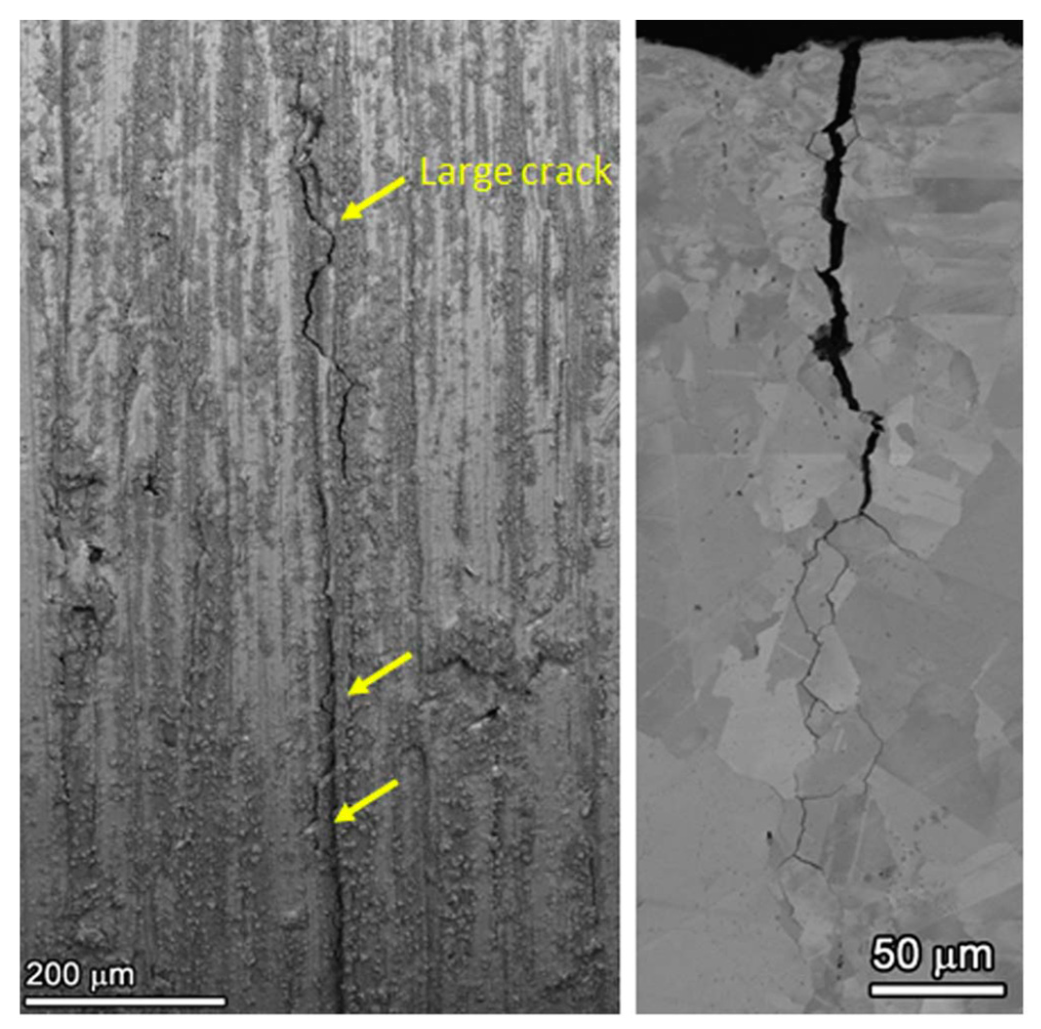 Metals 11 00199 g006