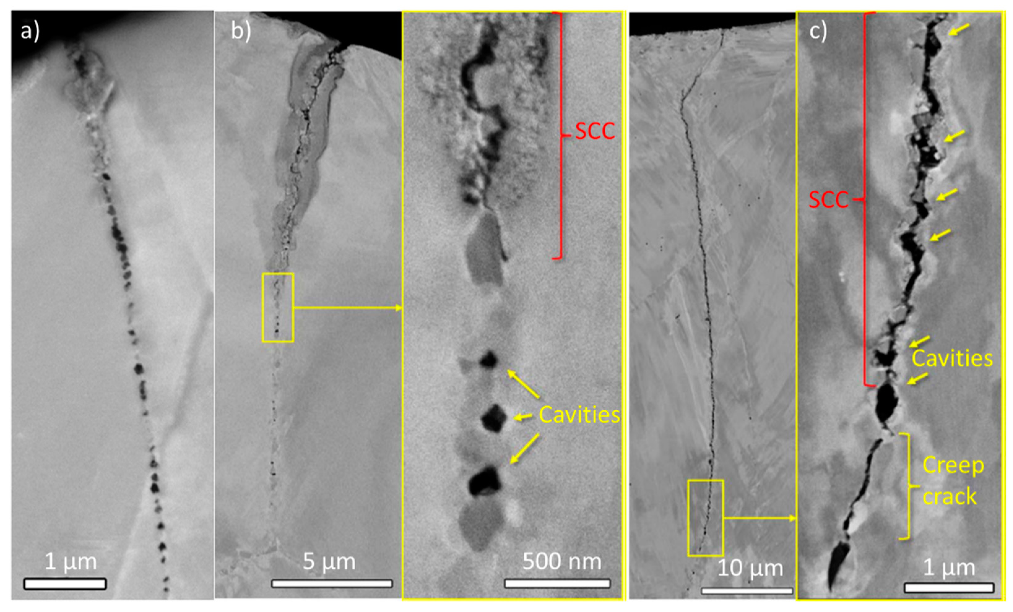 Metals 11 00199 g008