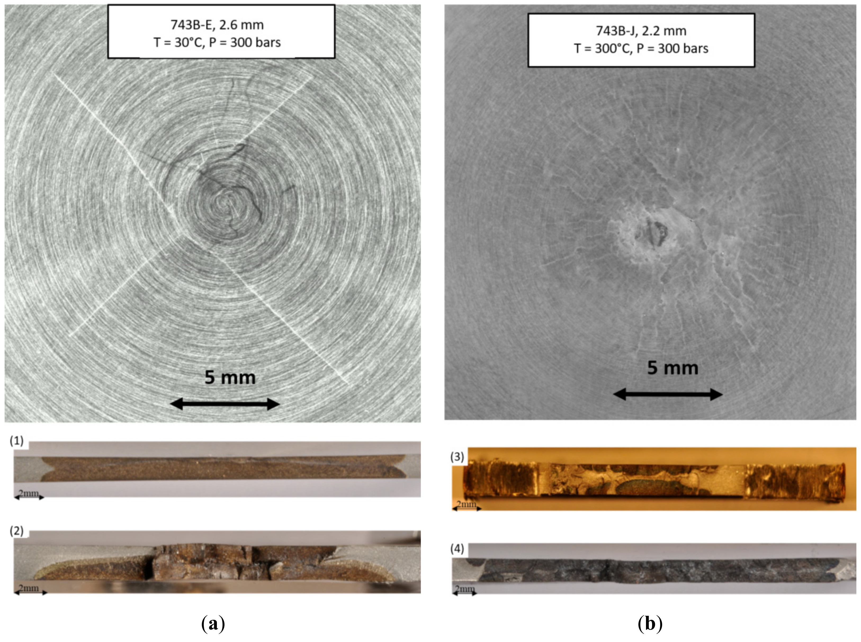 Metals 11 00203 g013