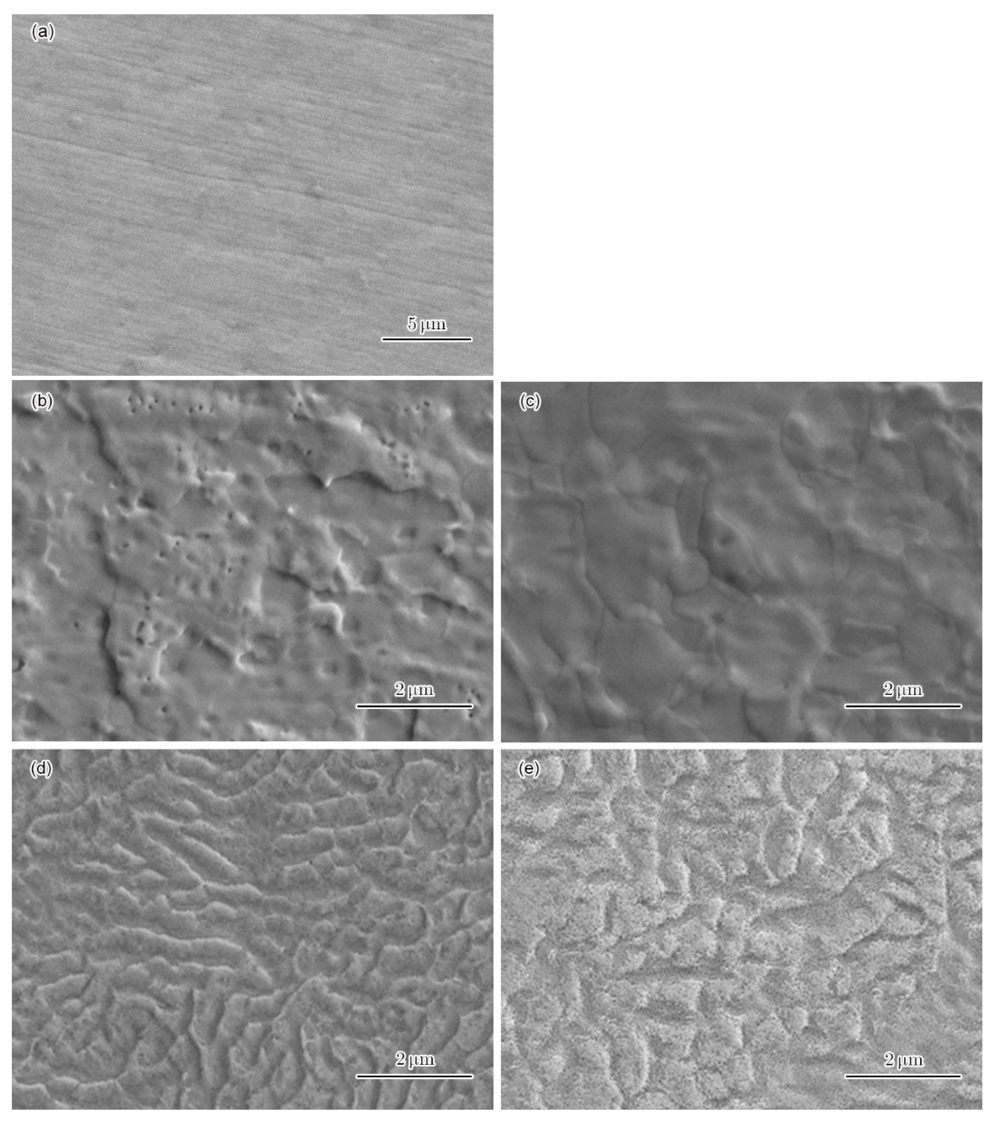 Metals 11 00211 g002