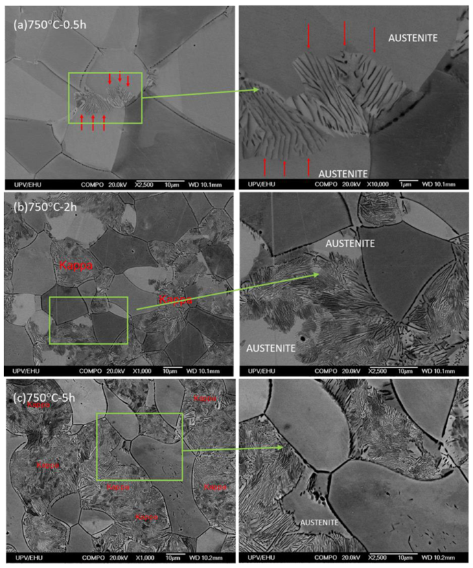 Metals 11 00214 g006
