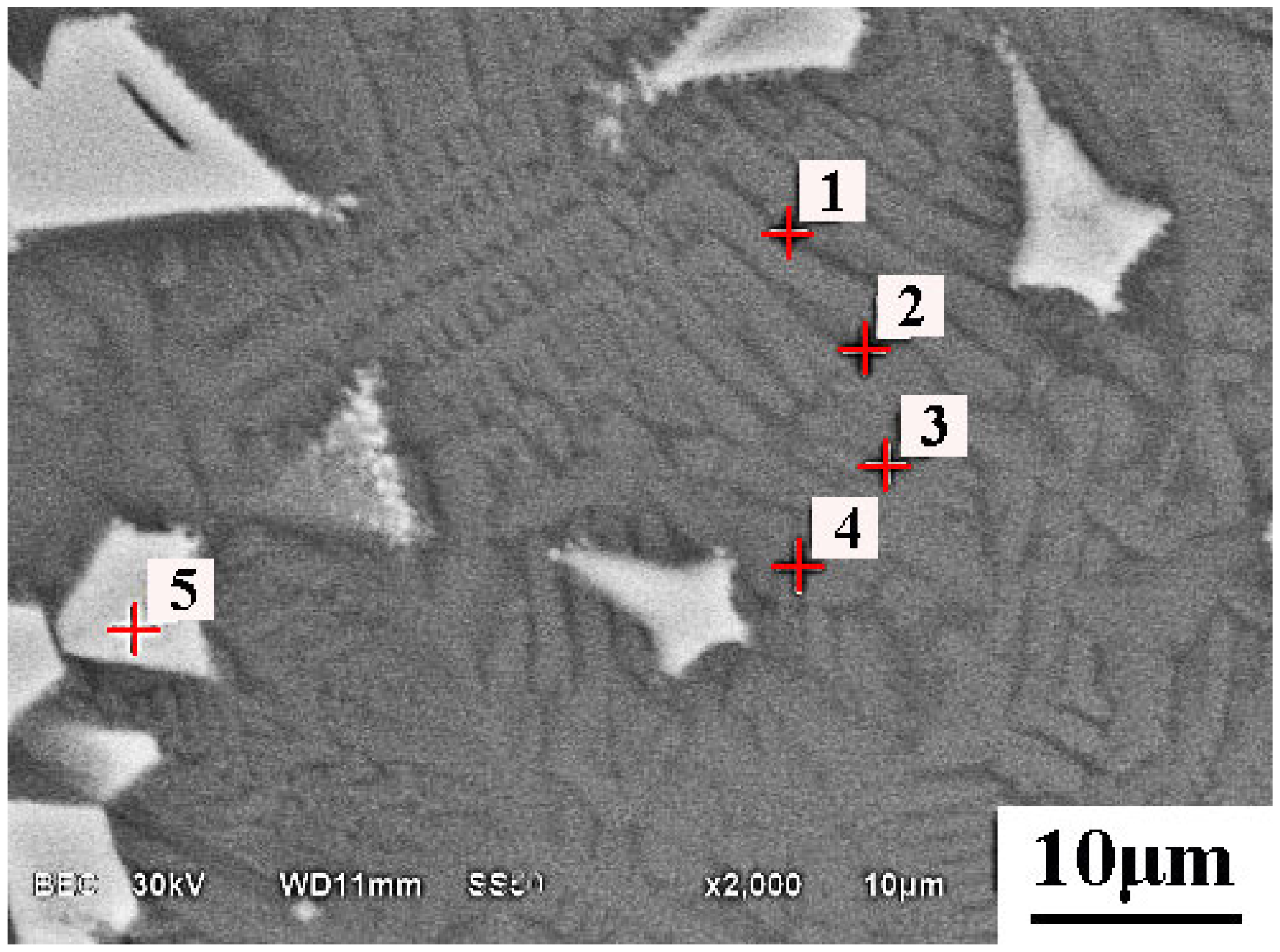 Metals 11 00216 g005