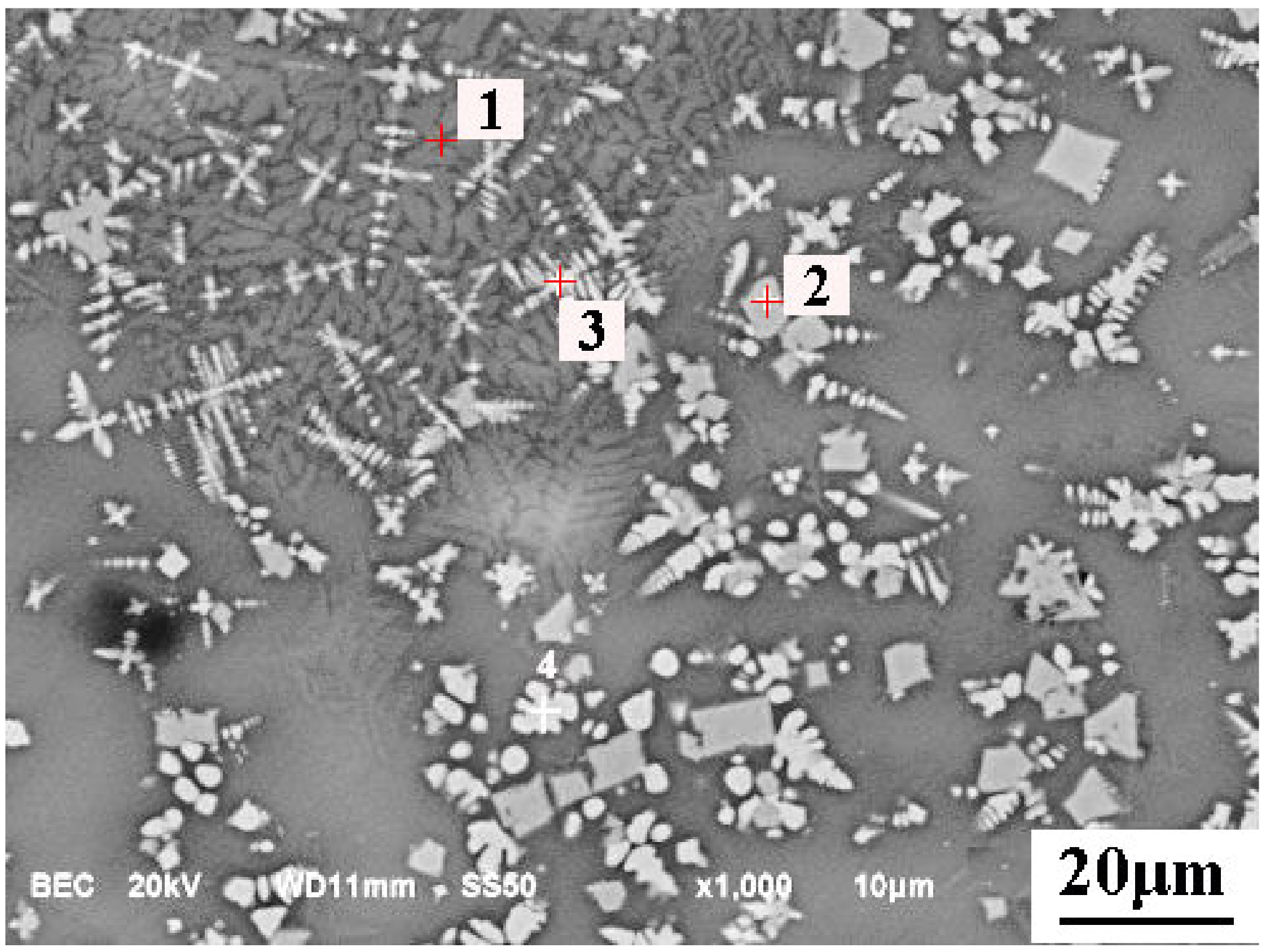 Metals 11 00216 g011