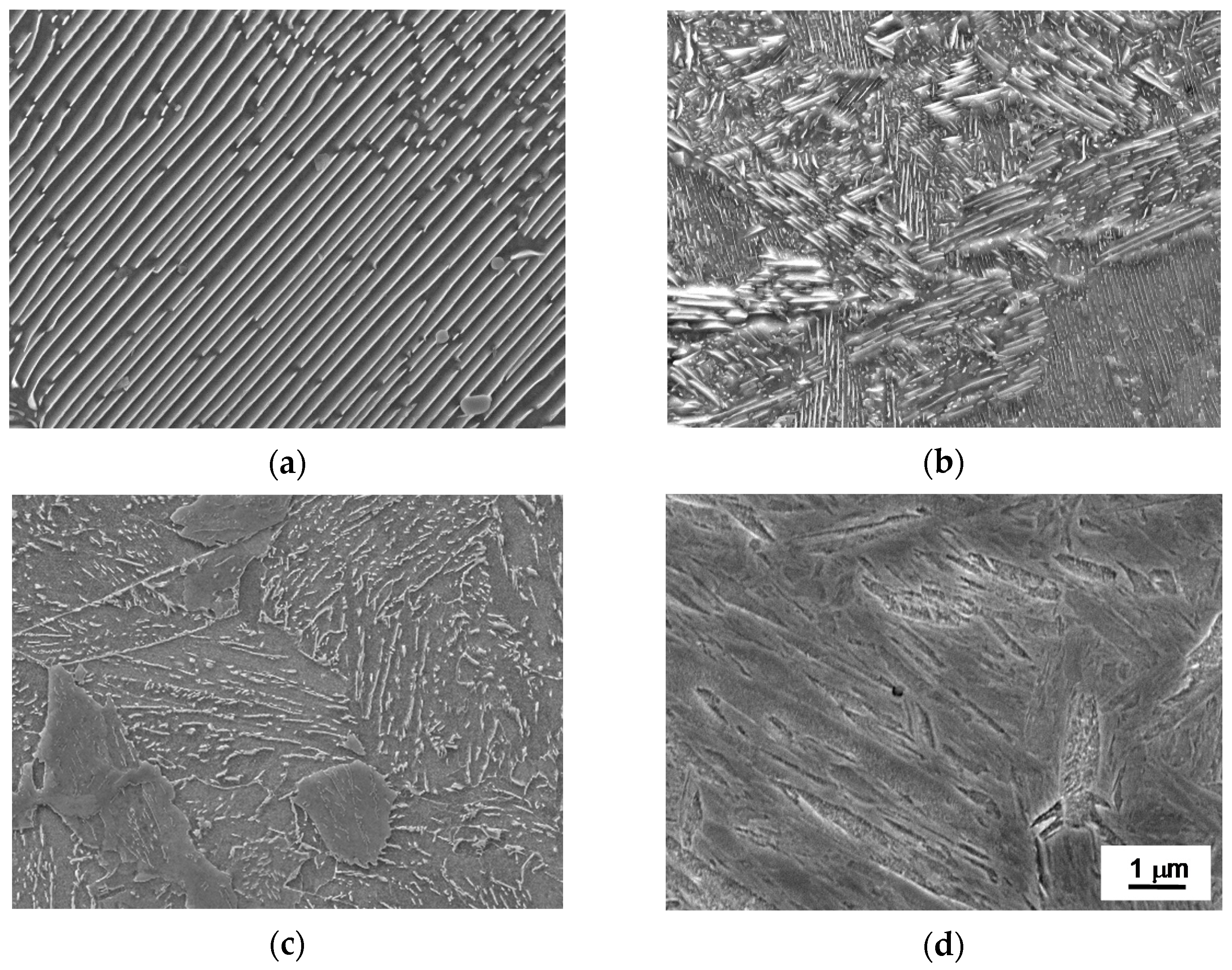 Metals 11 00219 g002