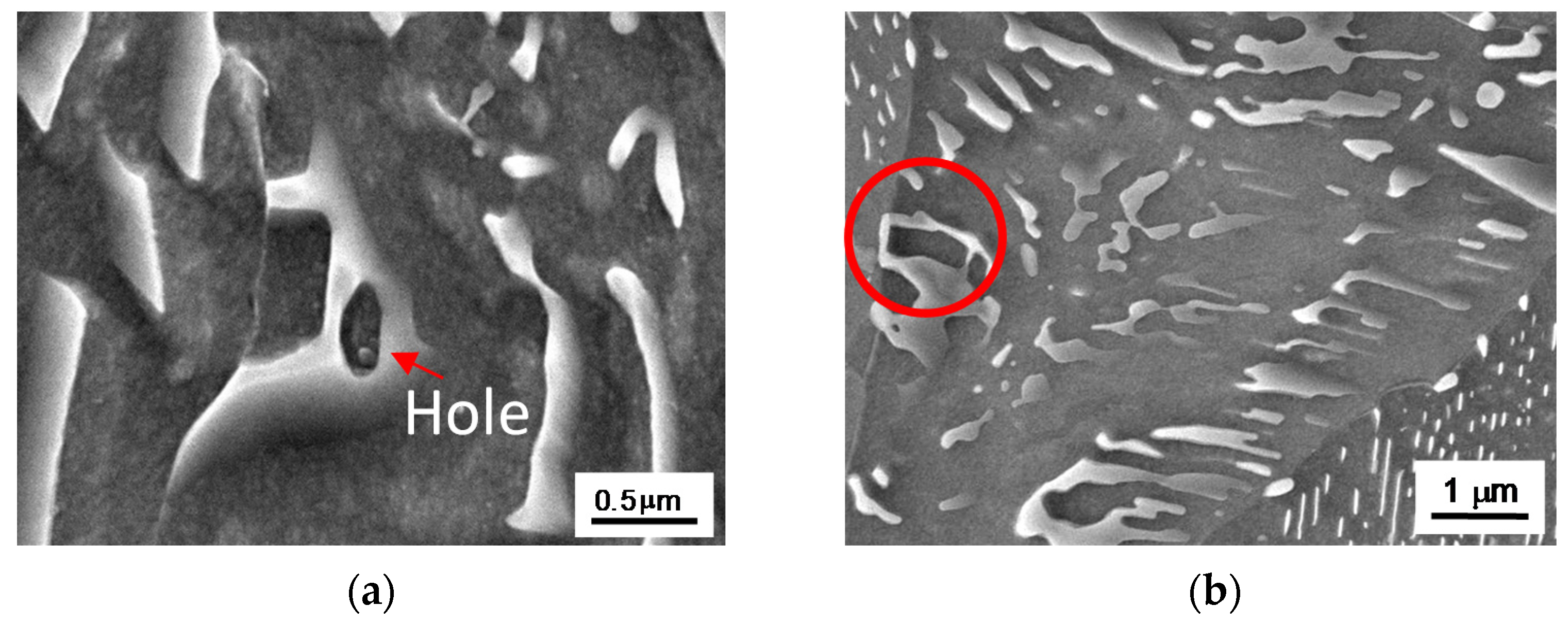 Metals 11 00219 g007