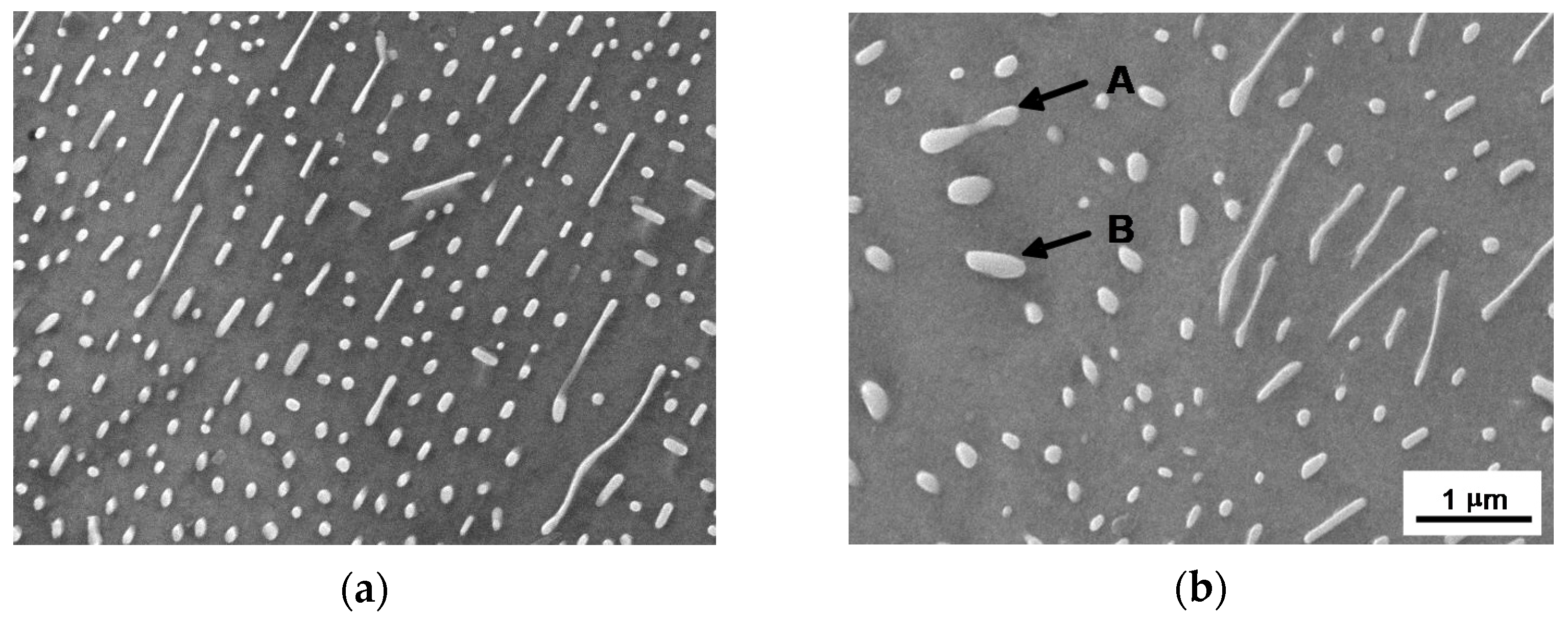 Metals 11 00219 g009