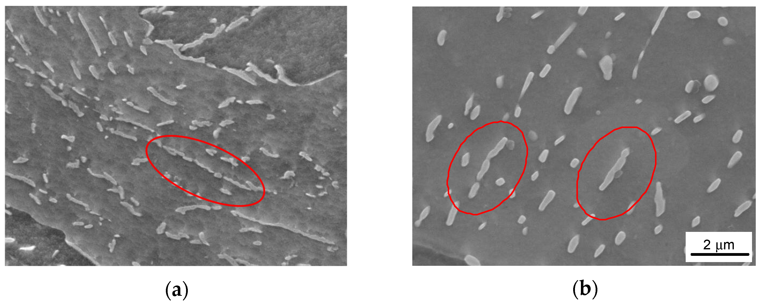 Metals 11 00219 g010