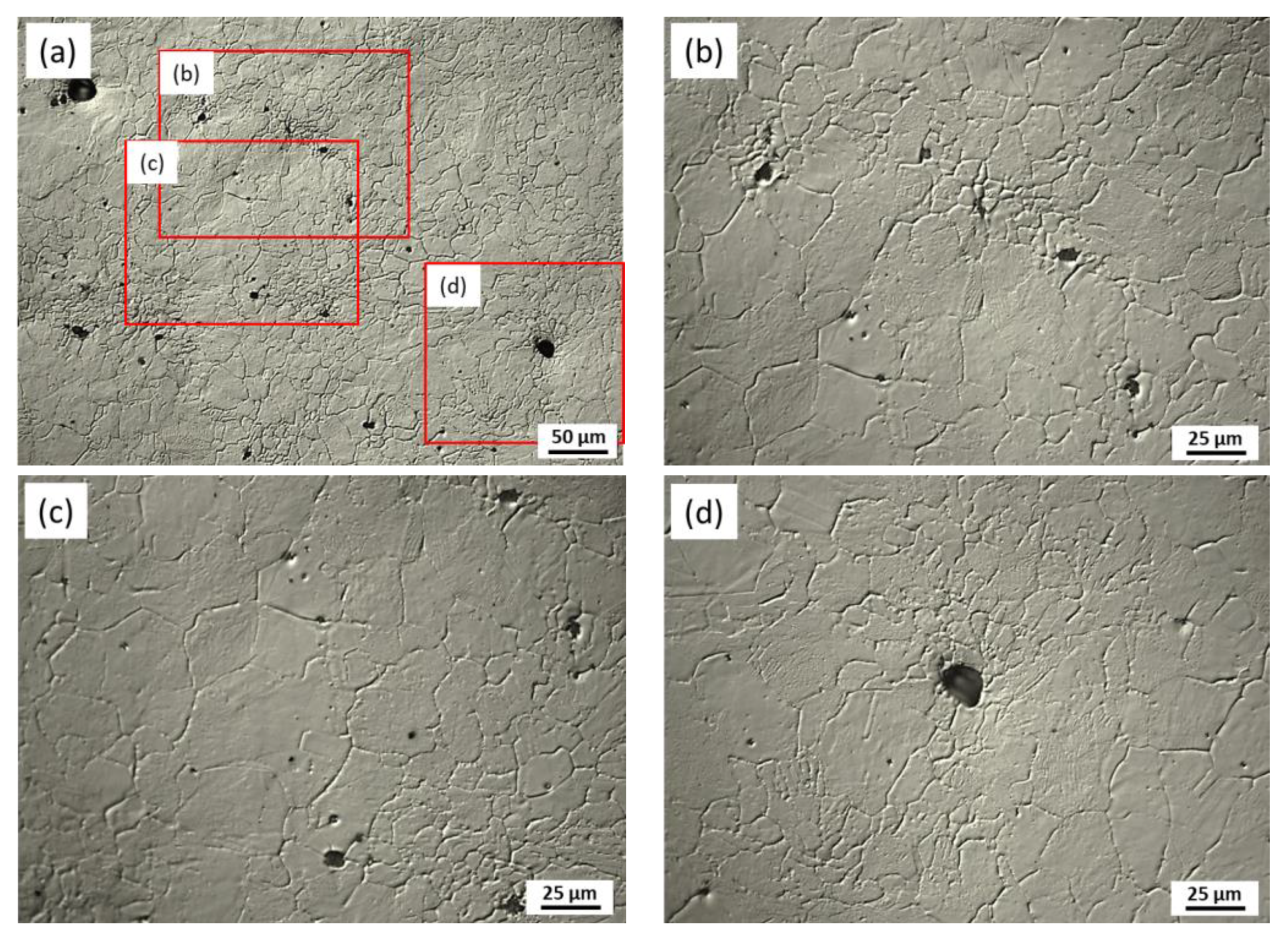 Metals 11 00220 g004 Metals 11 00220 g004