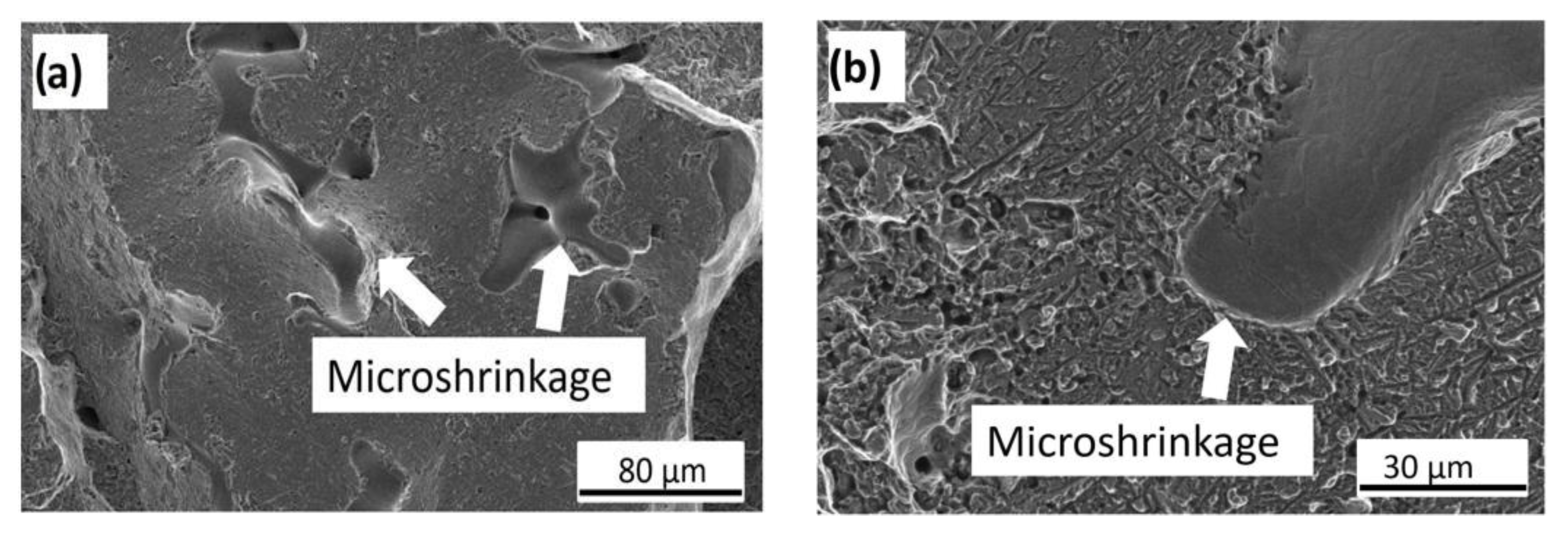 Metals 11 00220 g015 Metals 11 00220 g015