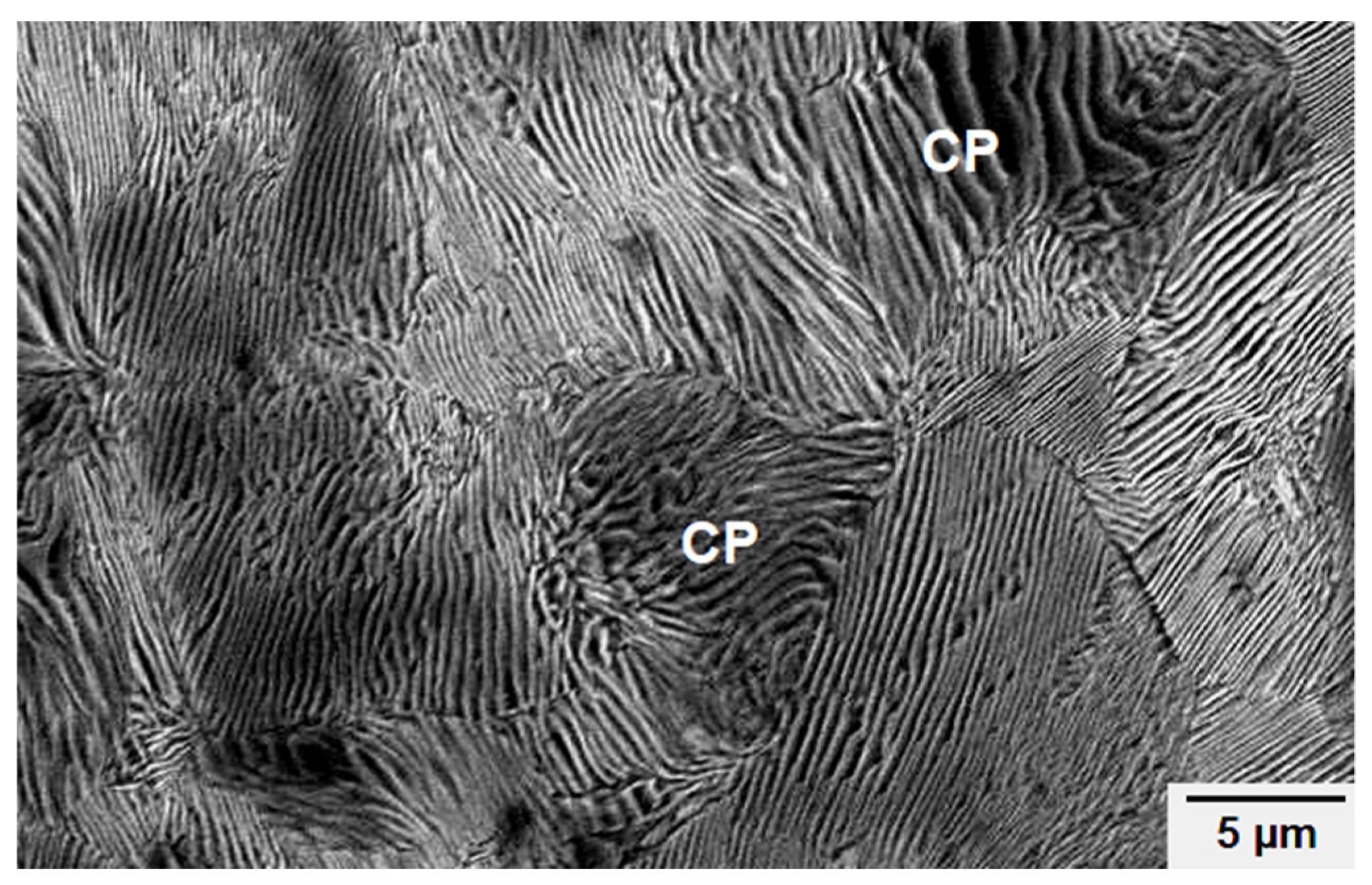Metals 11 00224 g006