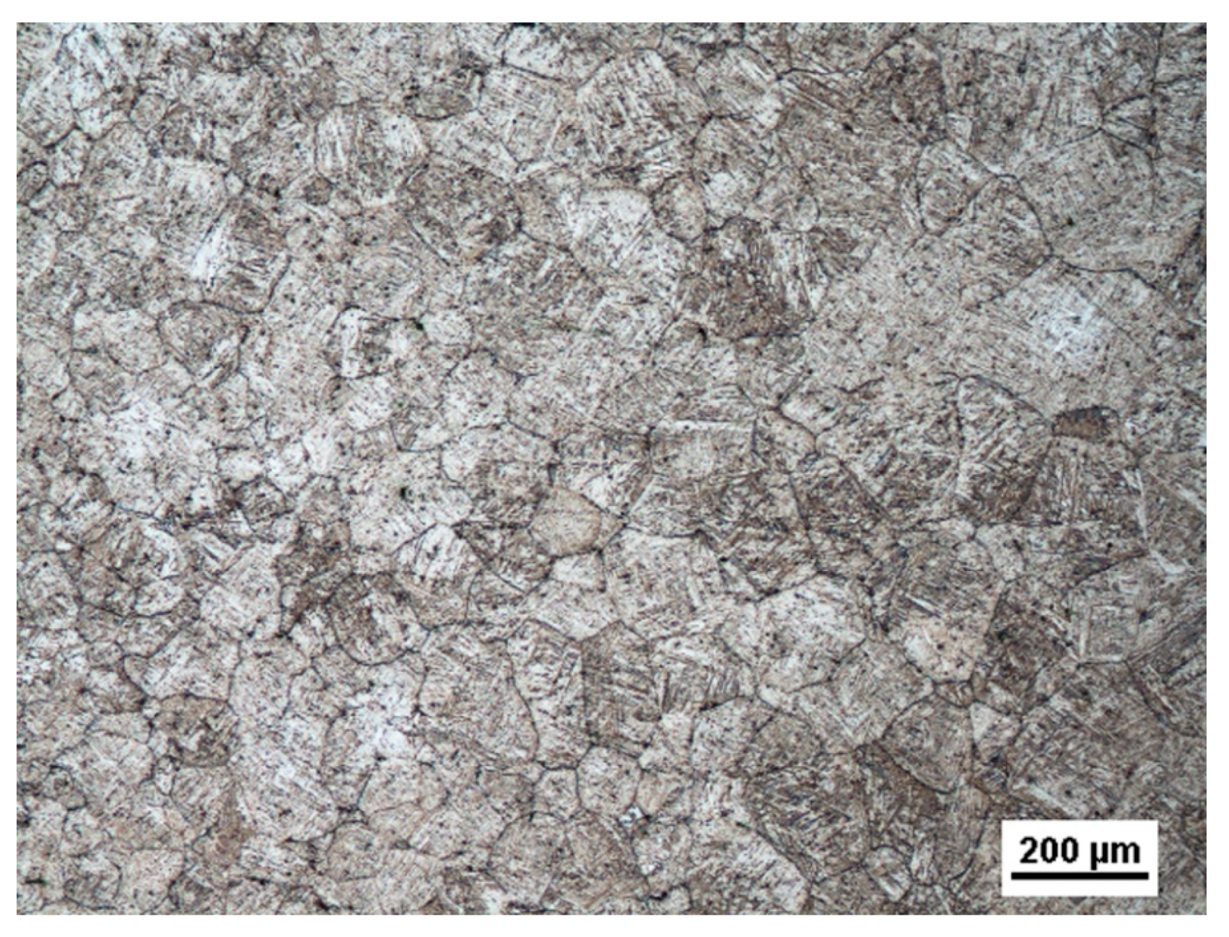 Metals 11 00225 g005