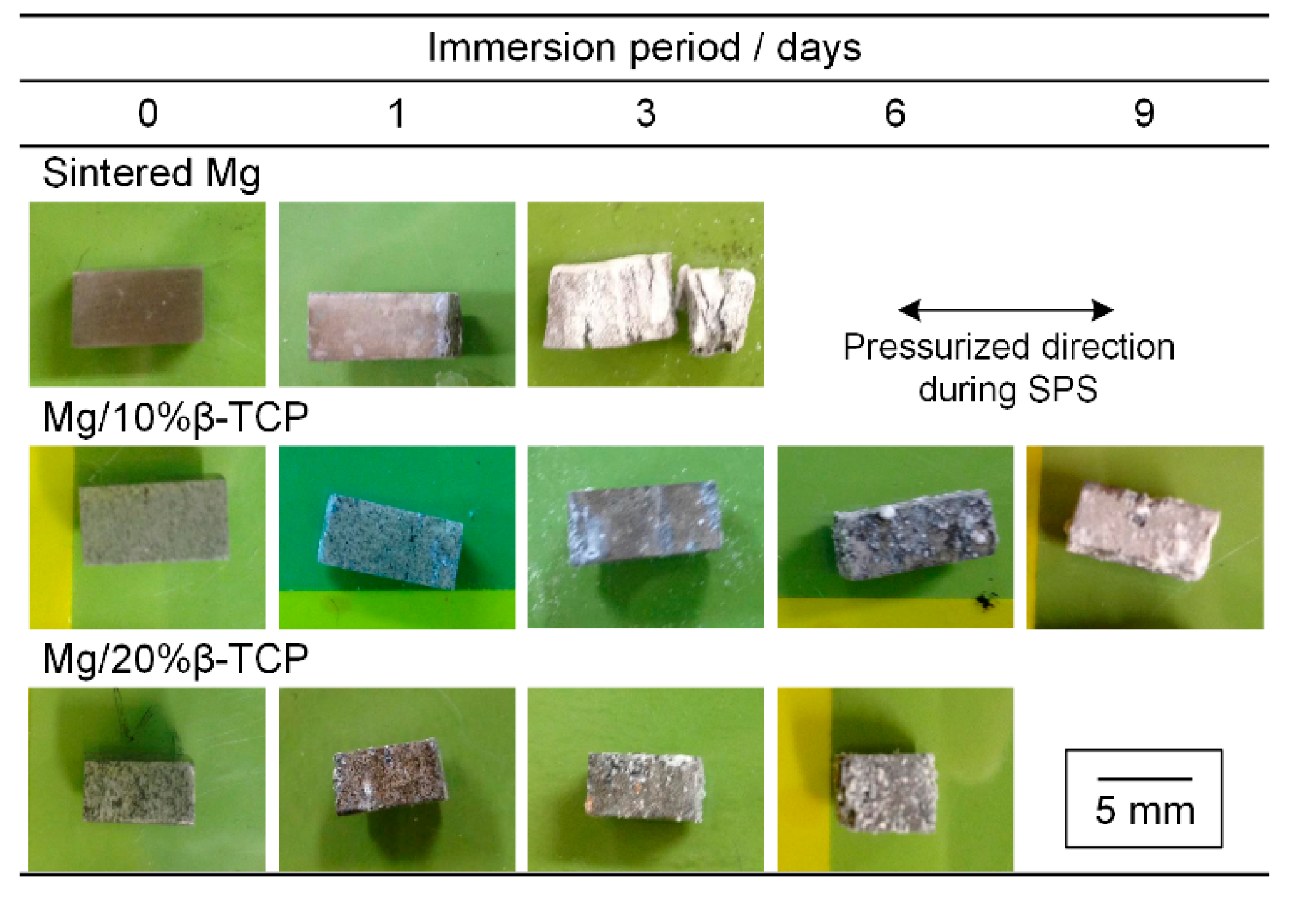 Metals 11 00227 g003