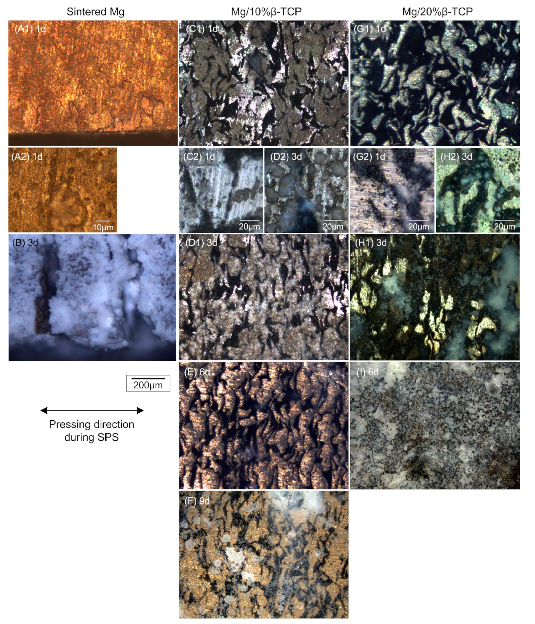 Metals 11 00227 g004