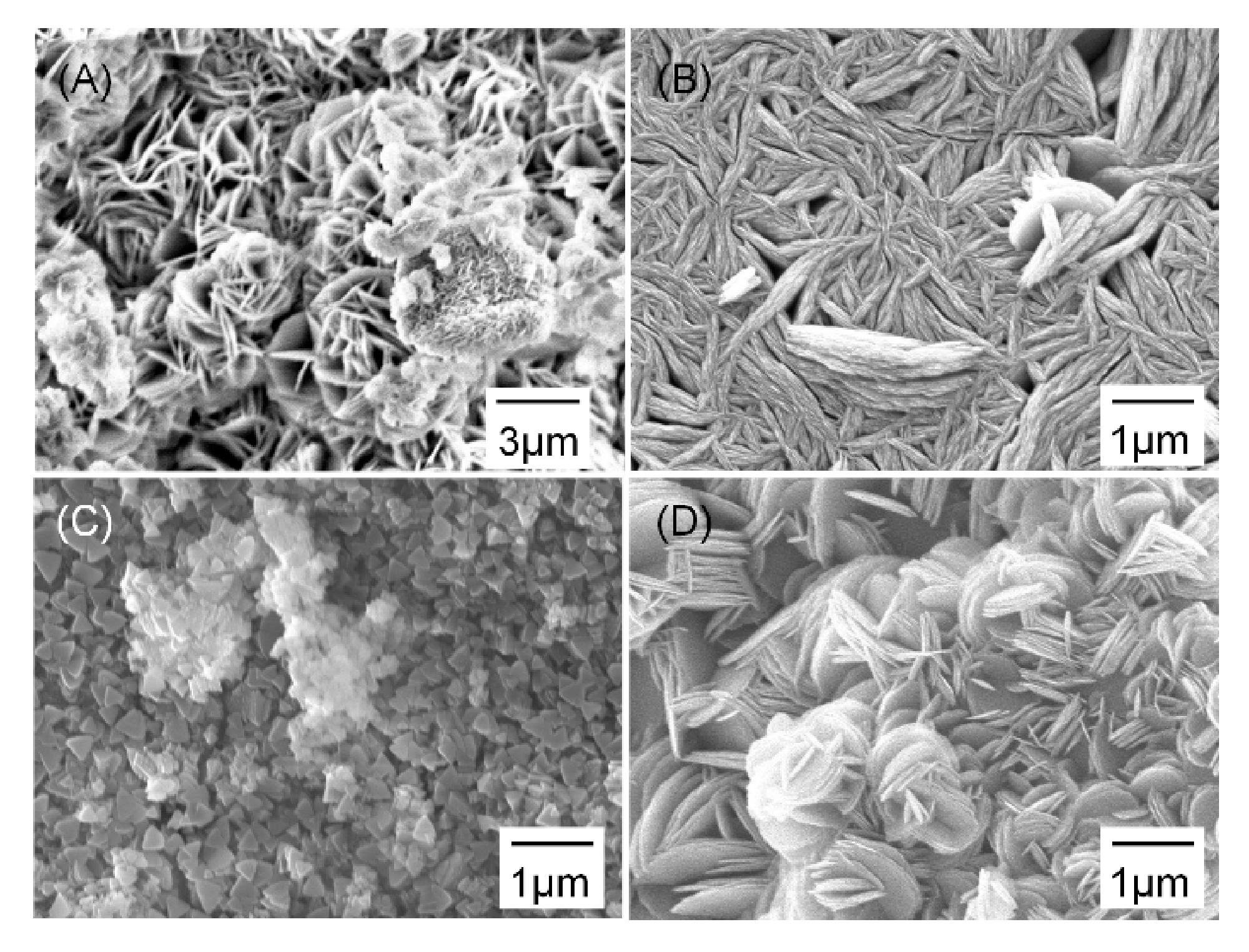 Metals 11 00227 g007