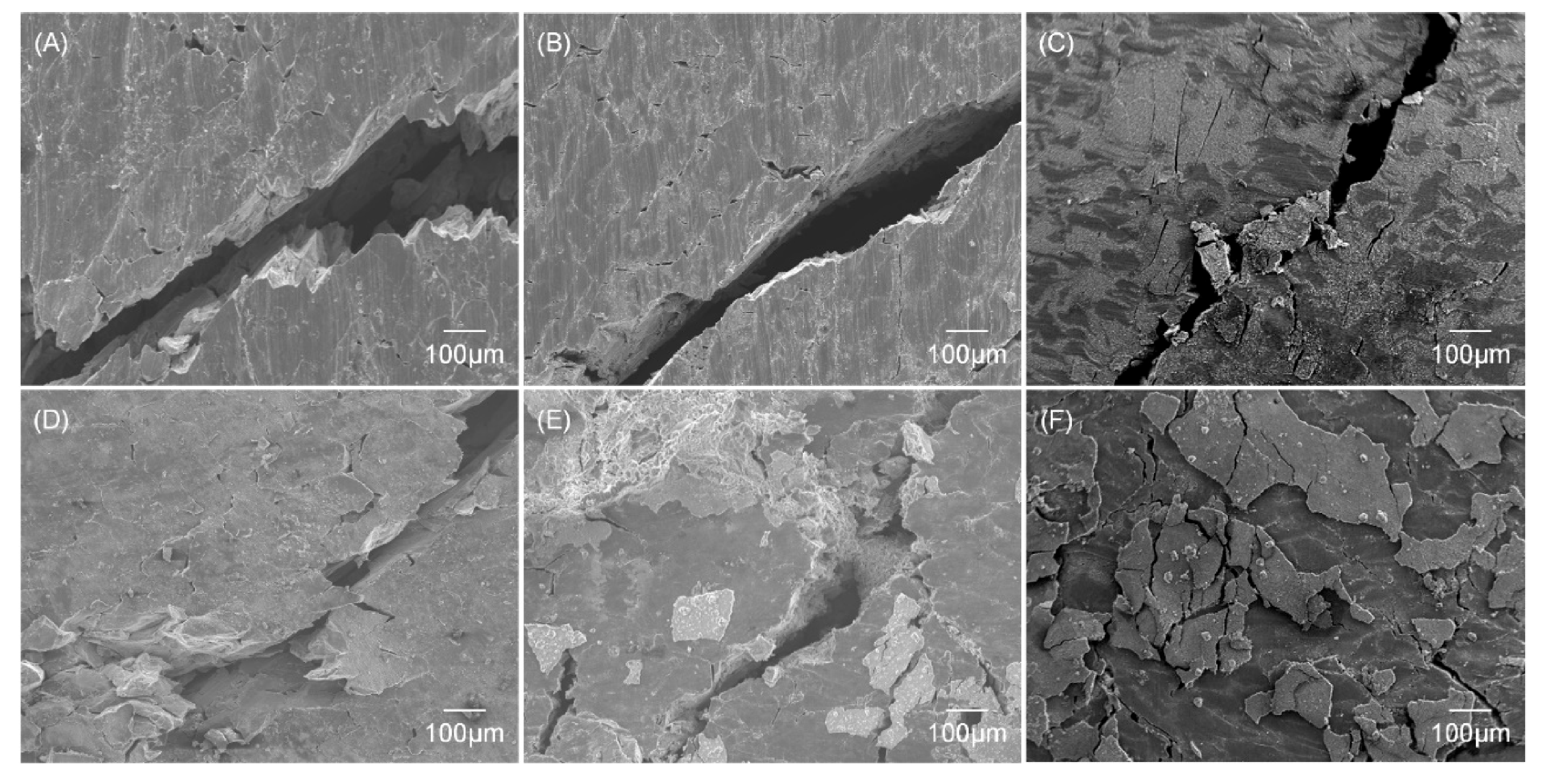 Metals 11 00227 g010