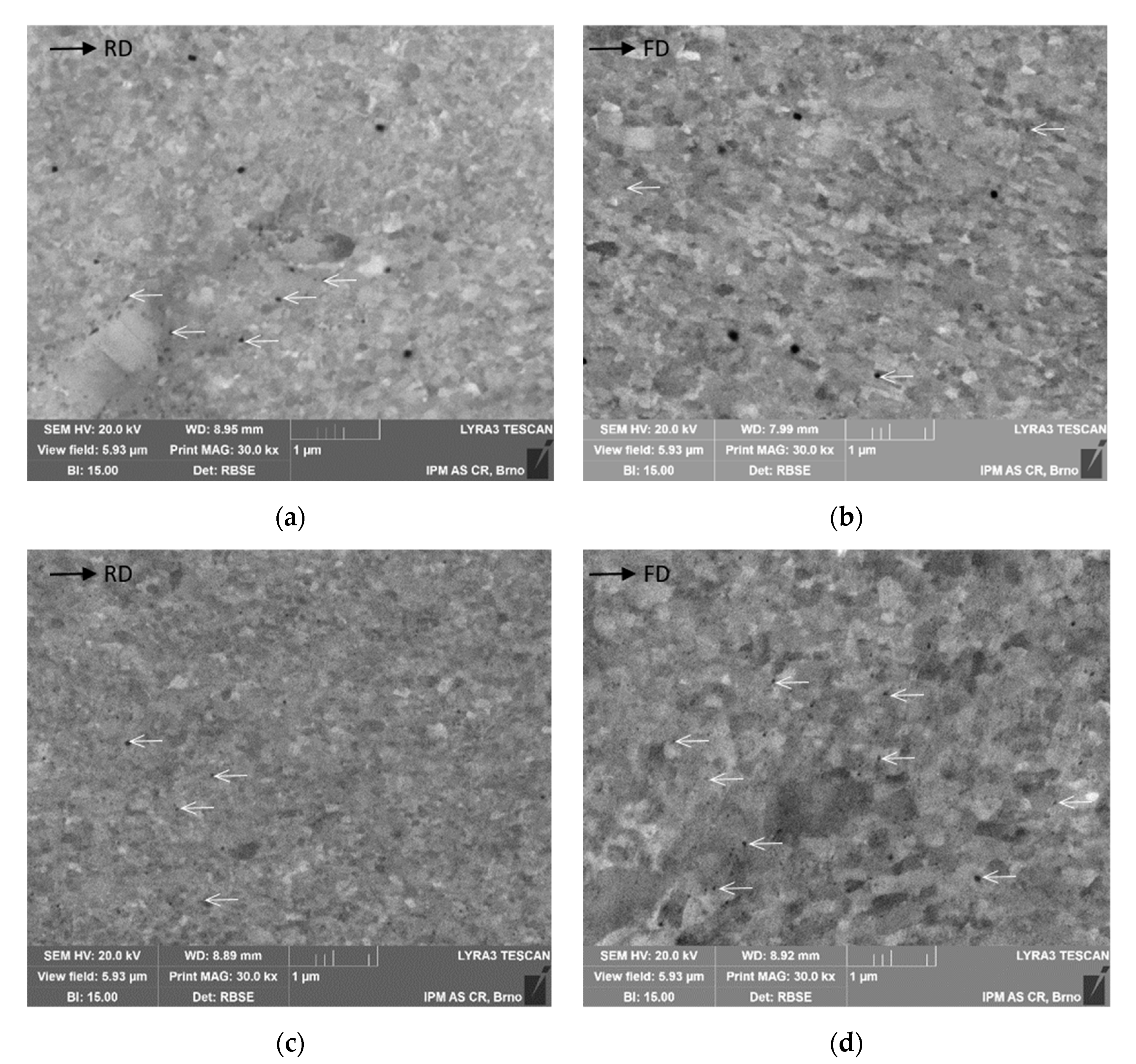 Metals 11 00228 g003