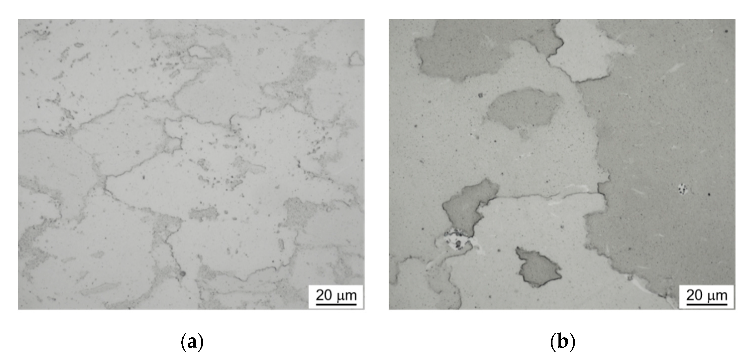 Metals 11 00228 g004