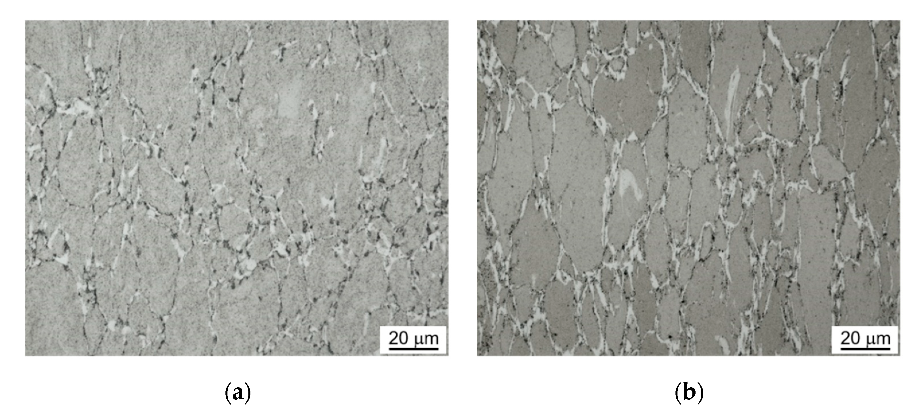 Metals 11 00228 g005