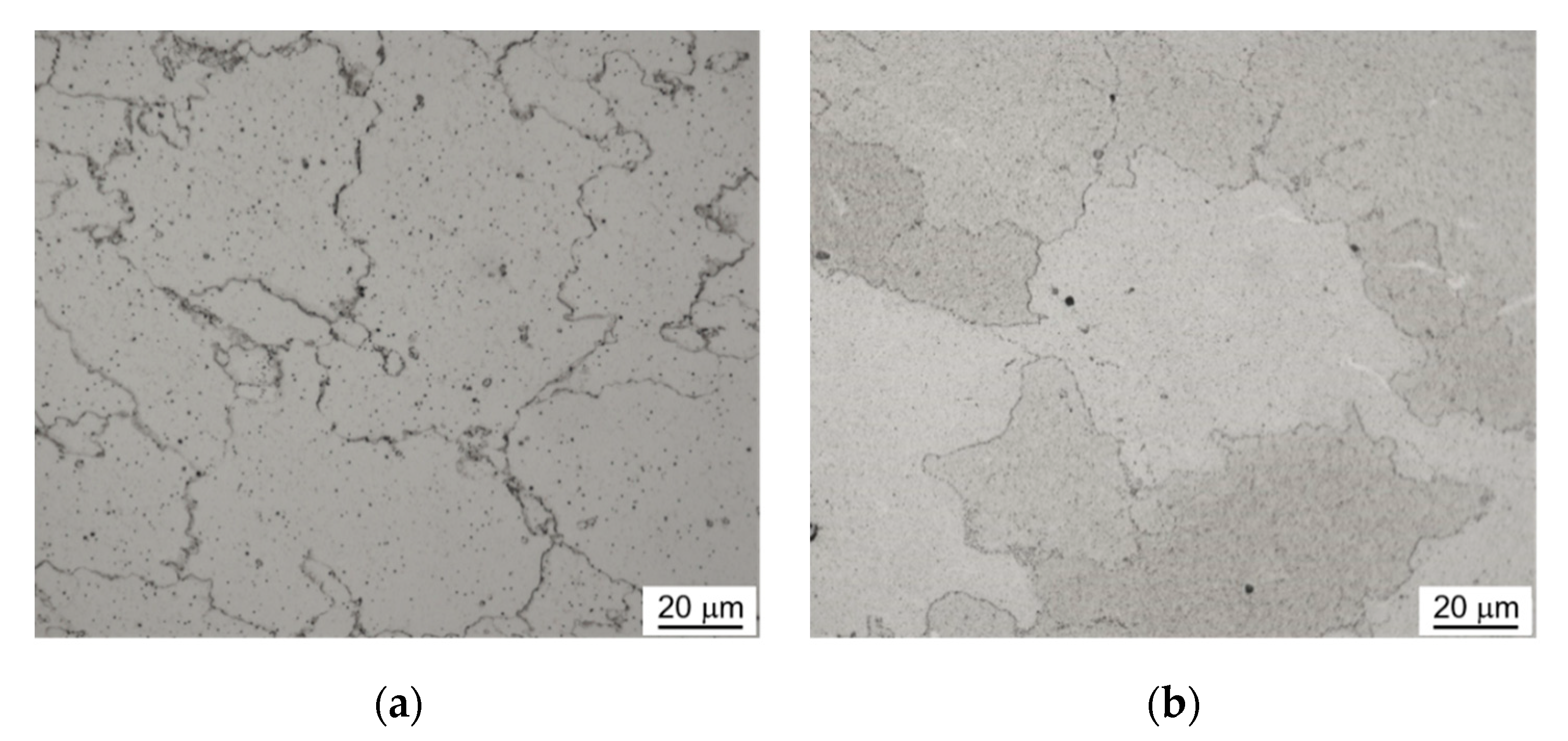 Metals 11 00228 g006