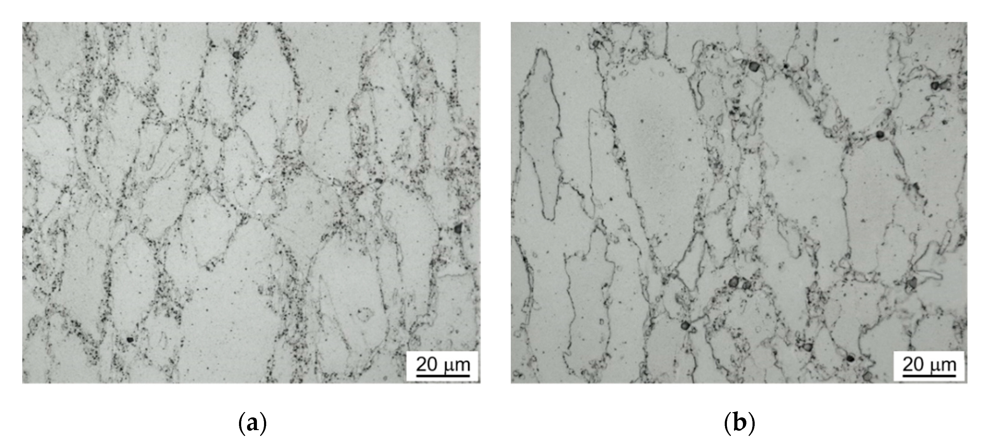 Metals 11 00228 g007