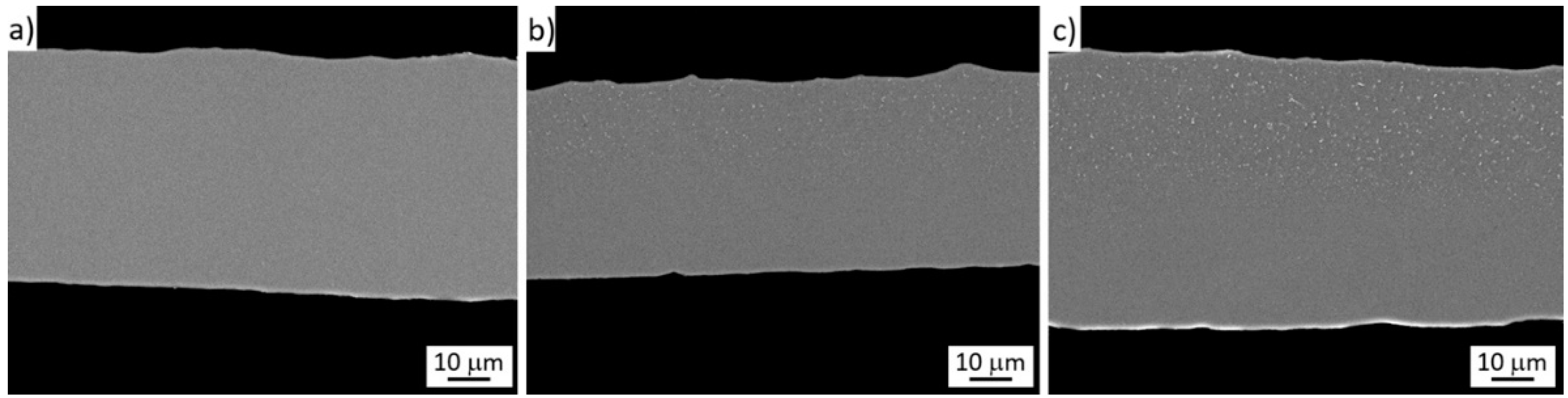 Metals 11 00230 g003