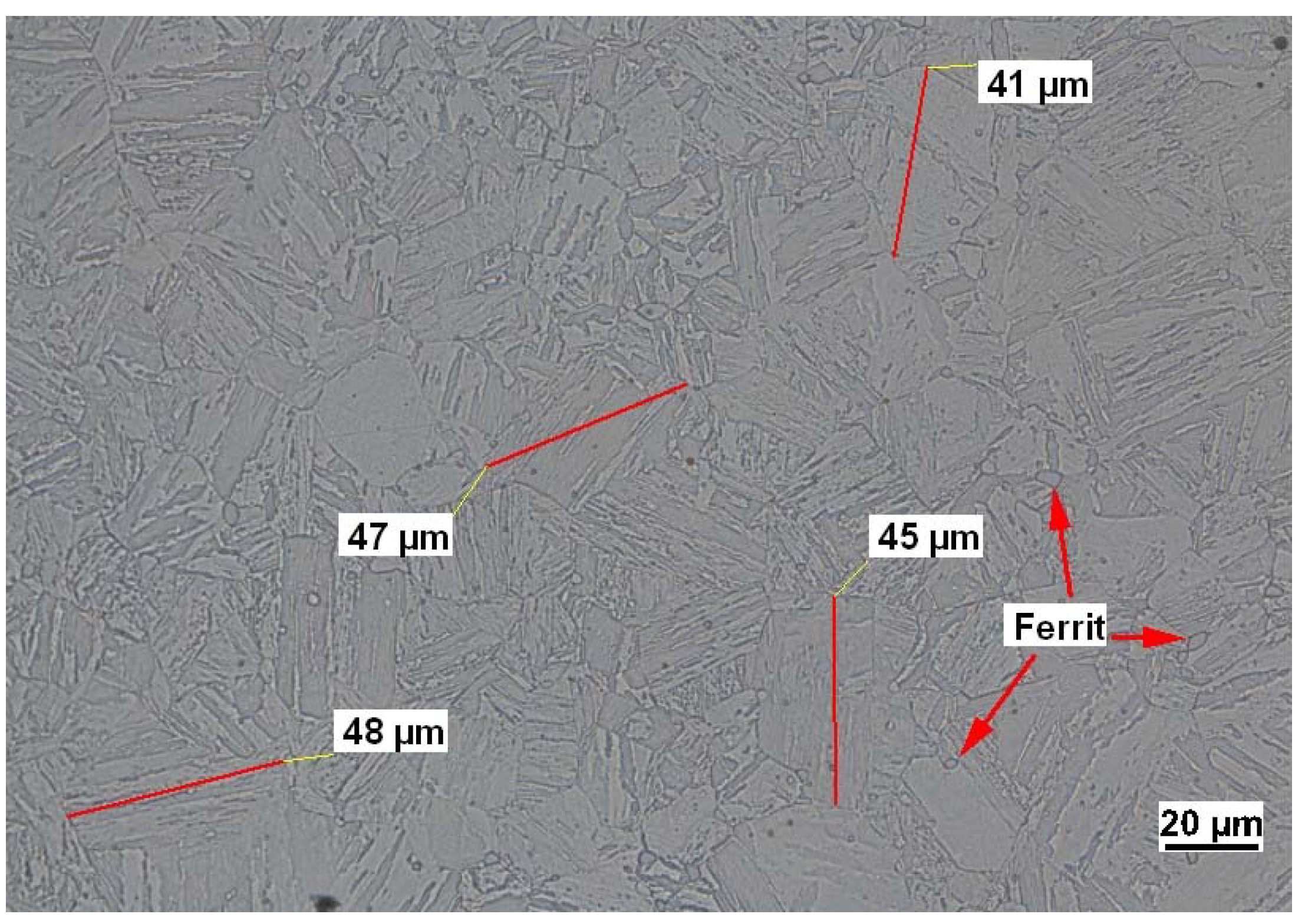 Metals 11 00231 g001