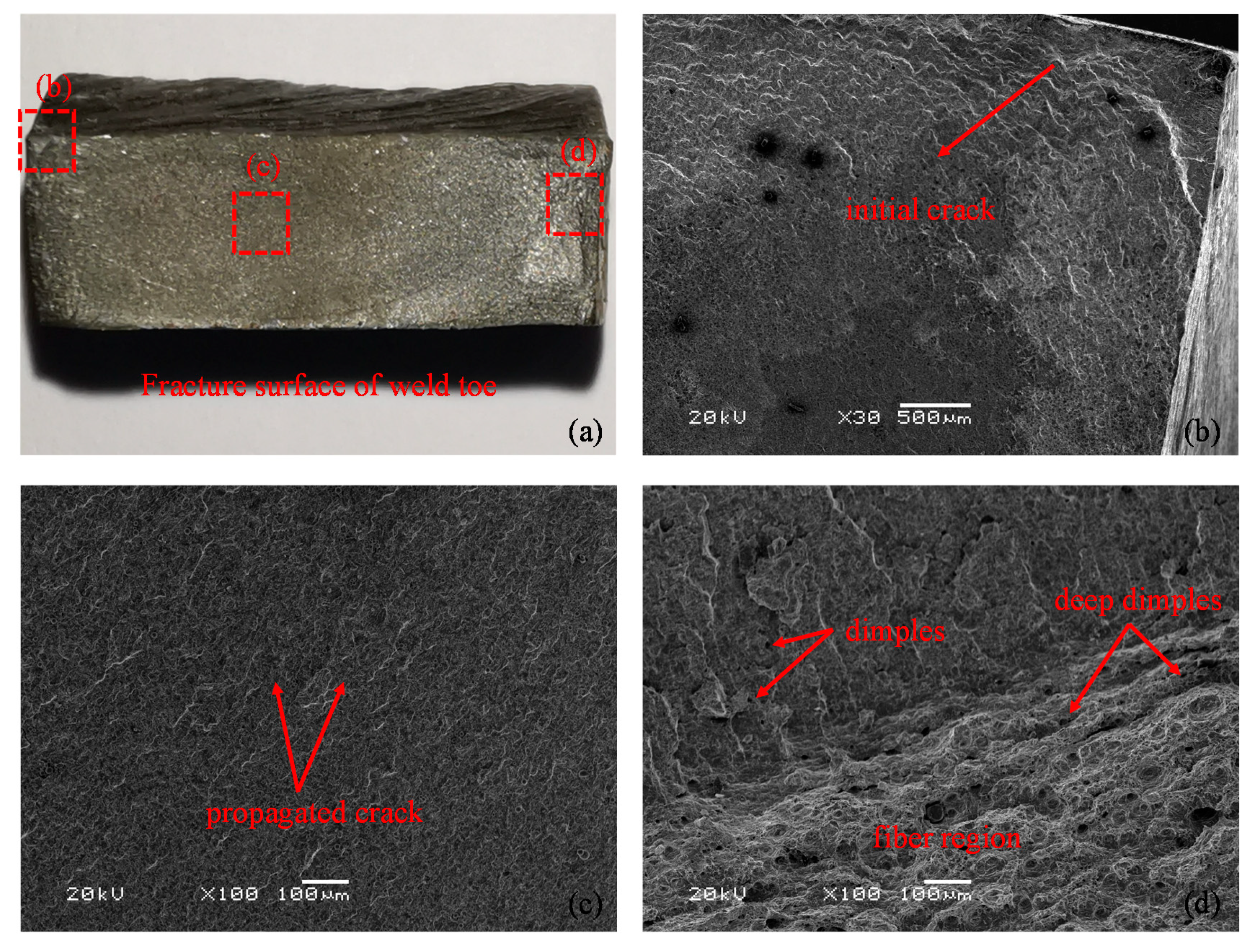 Metals 11 00232 g010