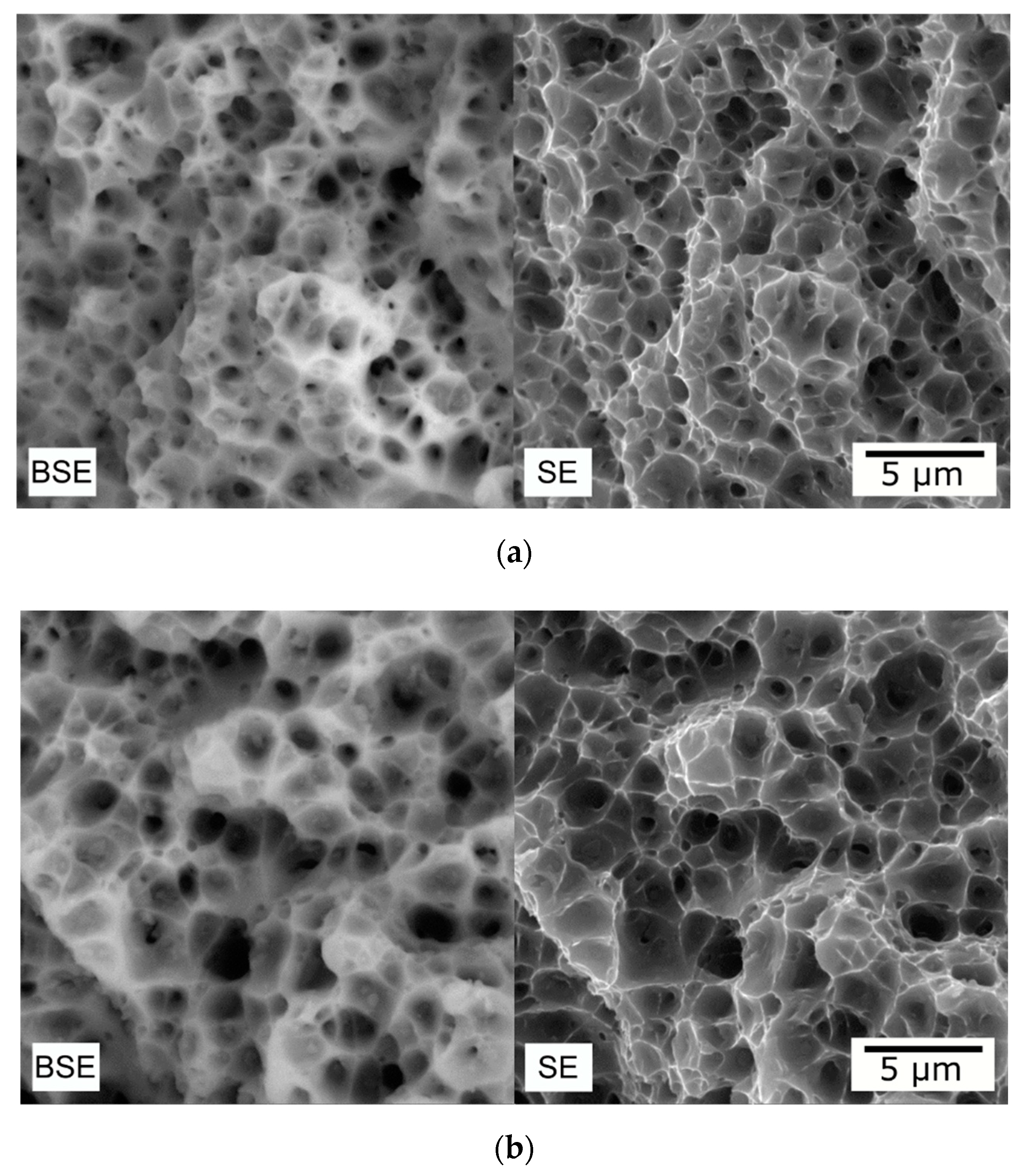 Metals 11 00236 g006