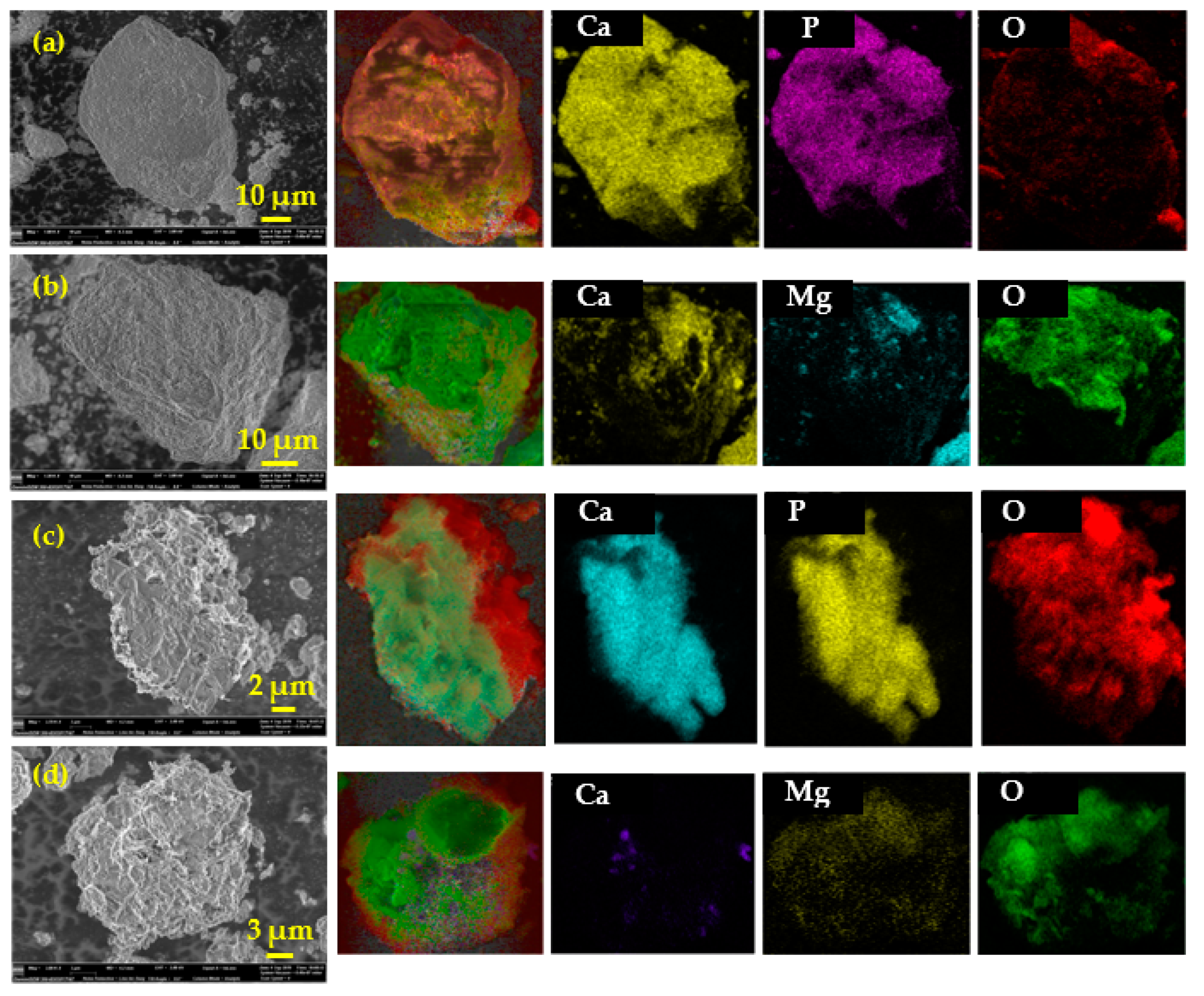 Metals 11 00239 g004 Metals 11 00239 g004