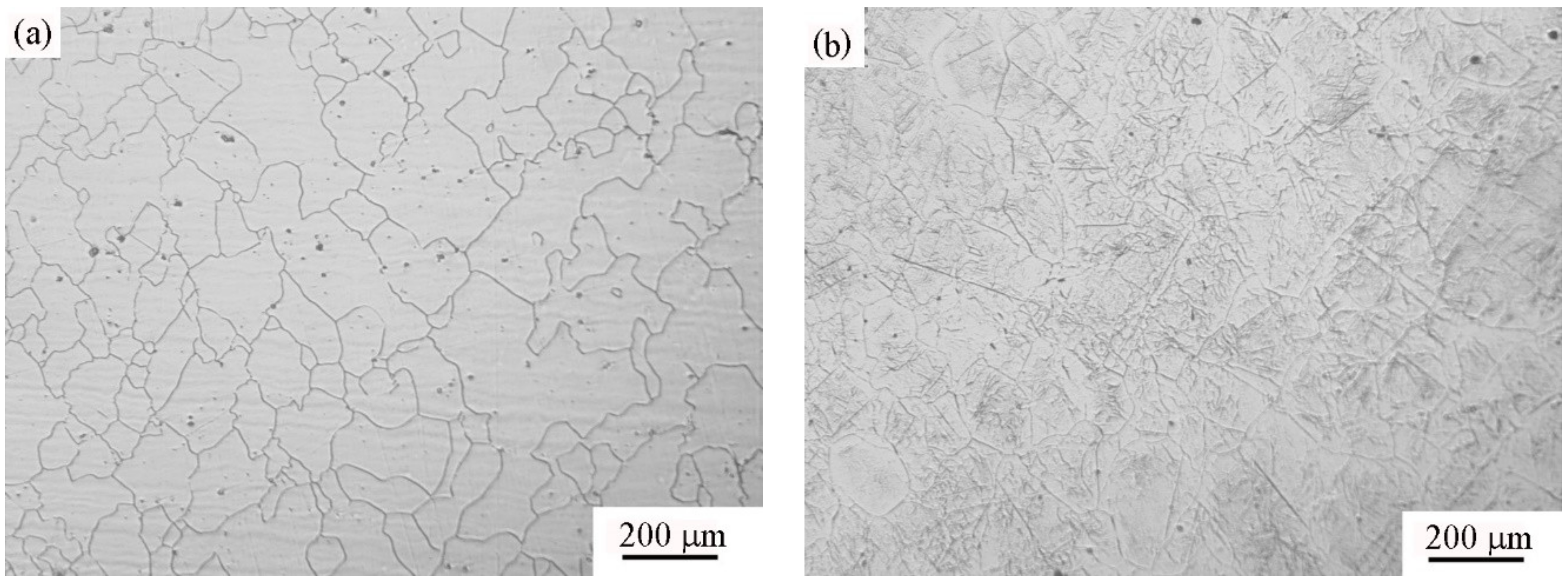 Metals 11 00244 g003a