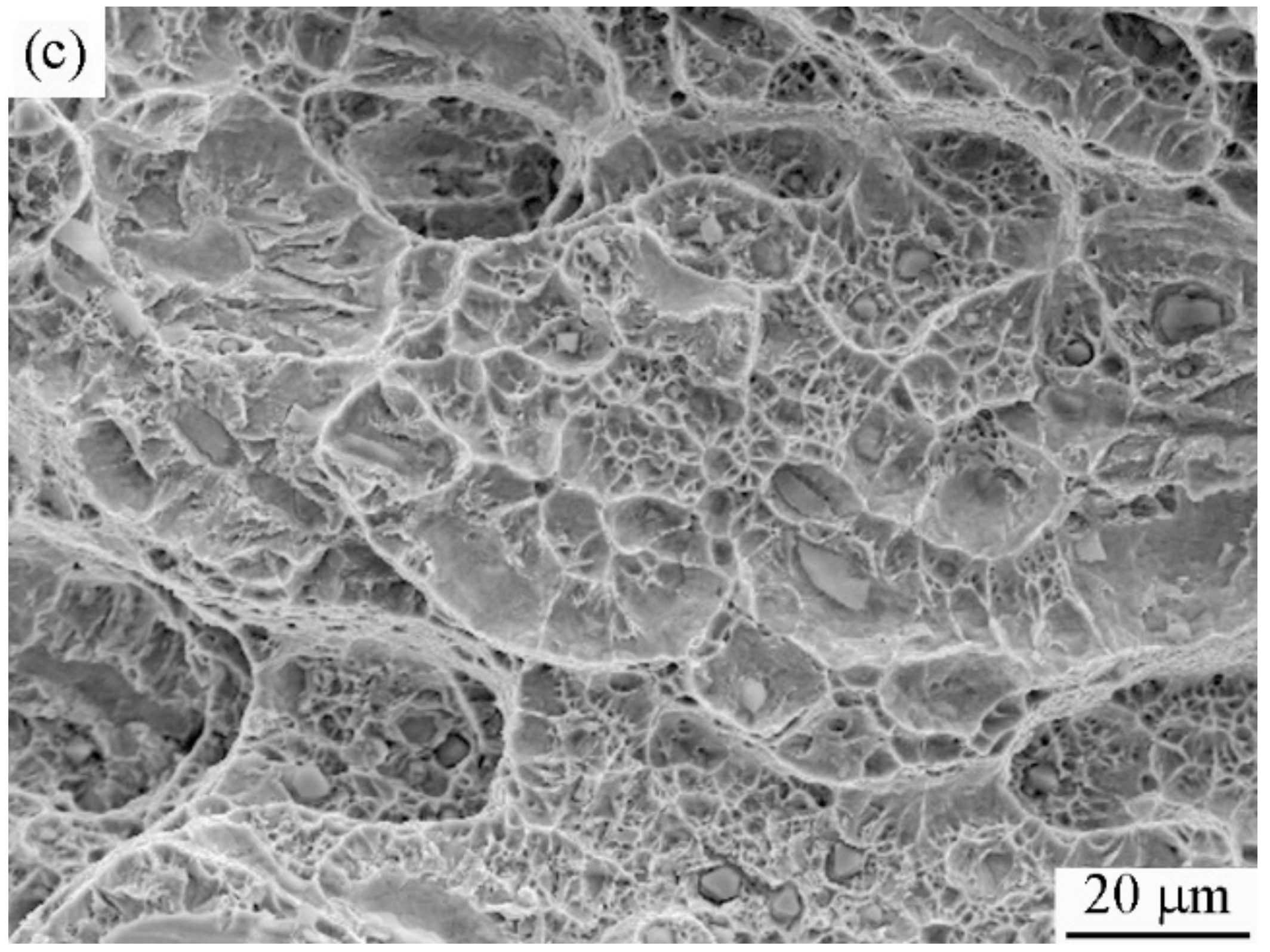 Metals 11 00244 g007b