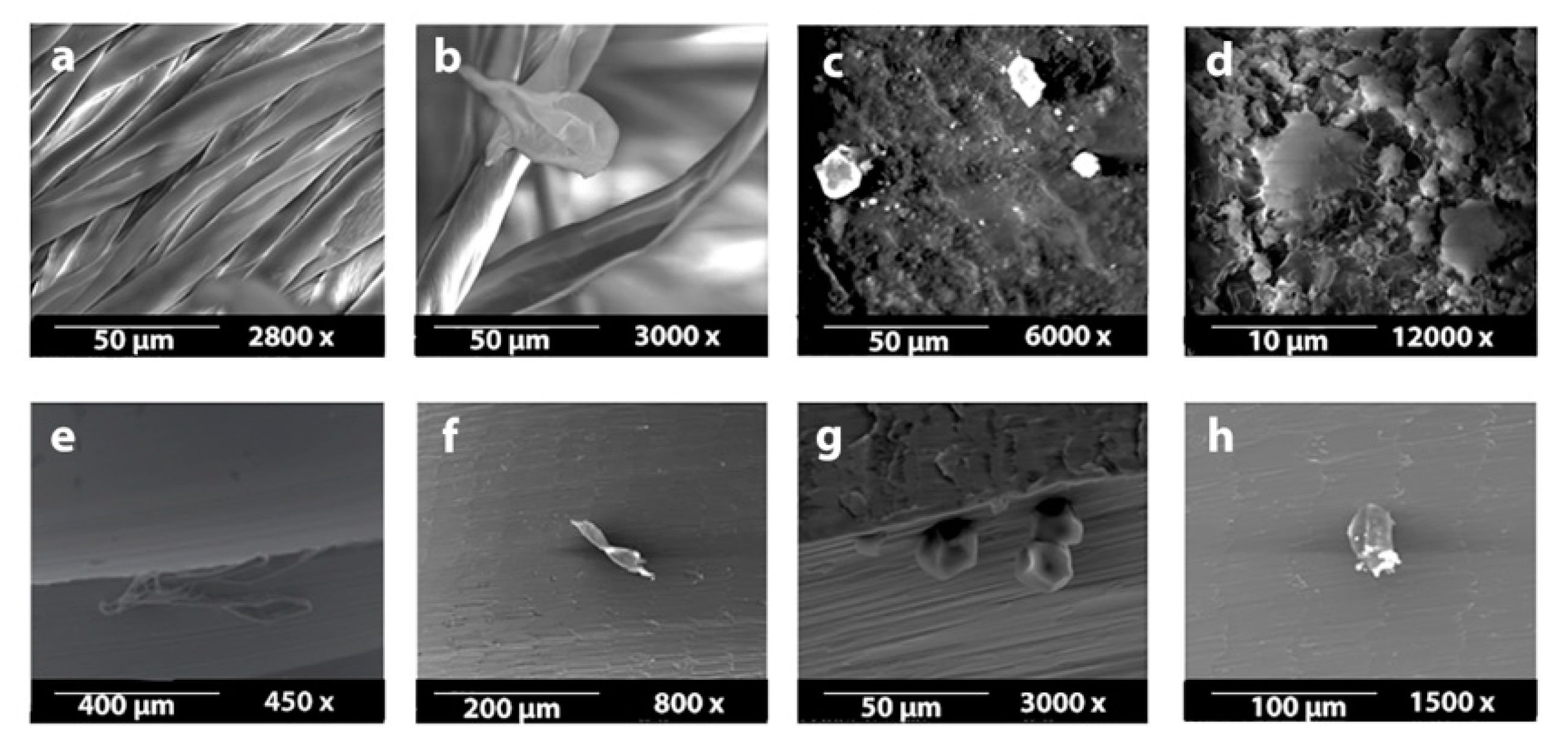 Metals 11 00245 g003