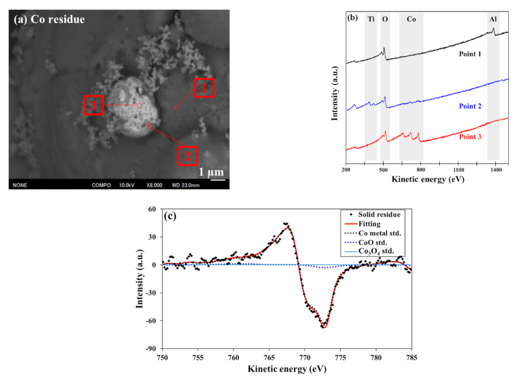 Metals 11 00248 g006