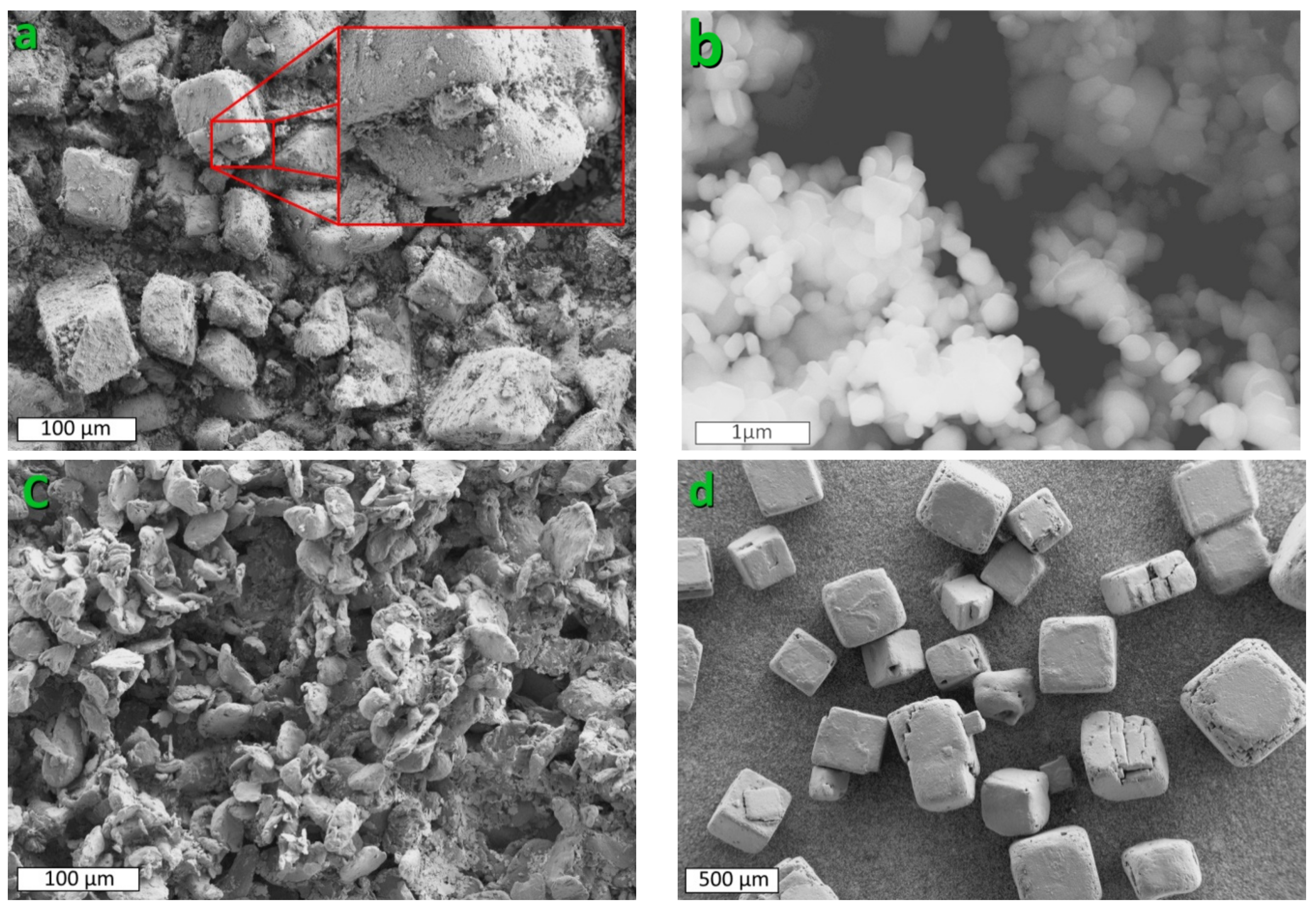 Metals 11 00252 g001