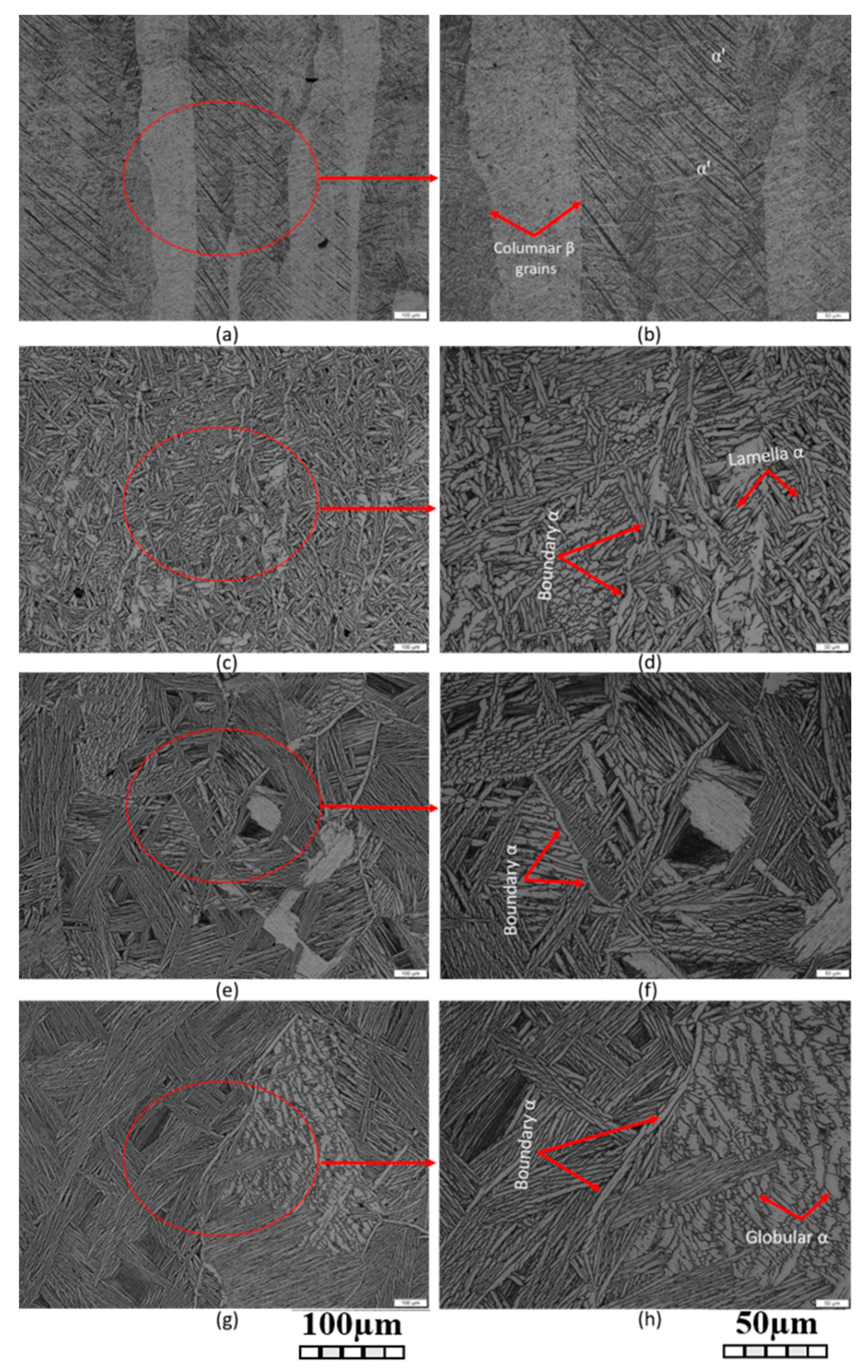 Metals 11 00255 g005 Metals 11 00255 g005